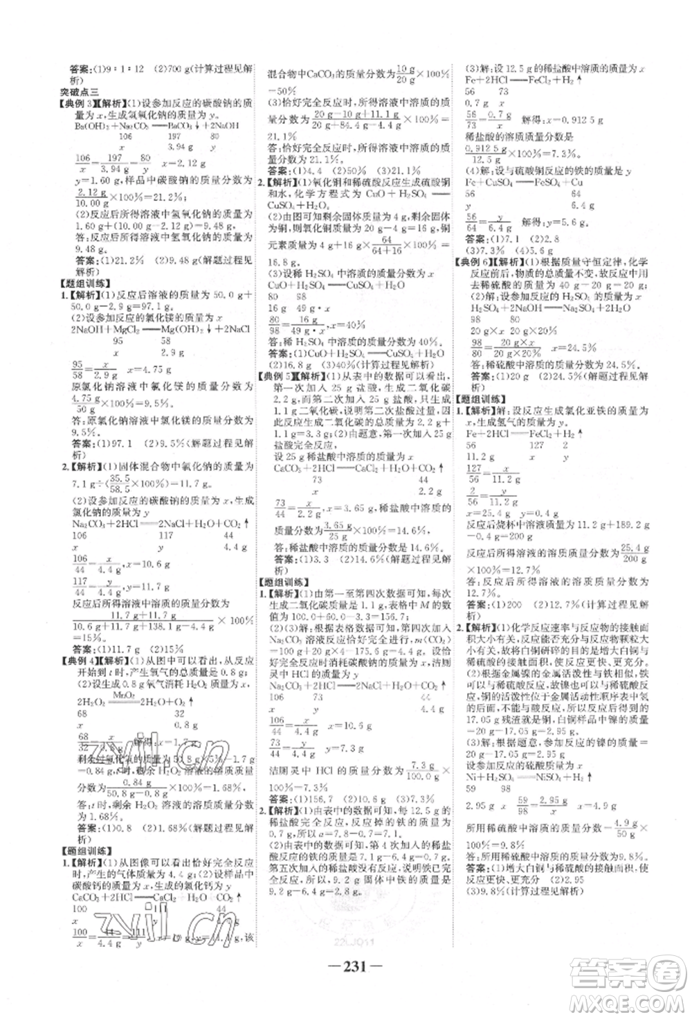 未來出版社2022世紀(jì)金榜初中全程復(fù)習(xí)方略化學(xué)魯教版參考答案