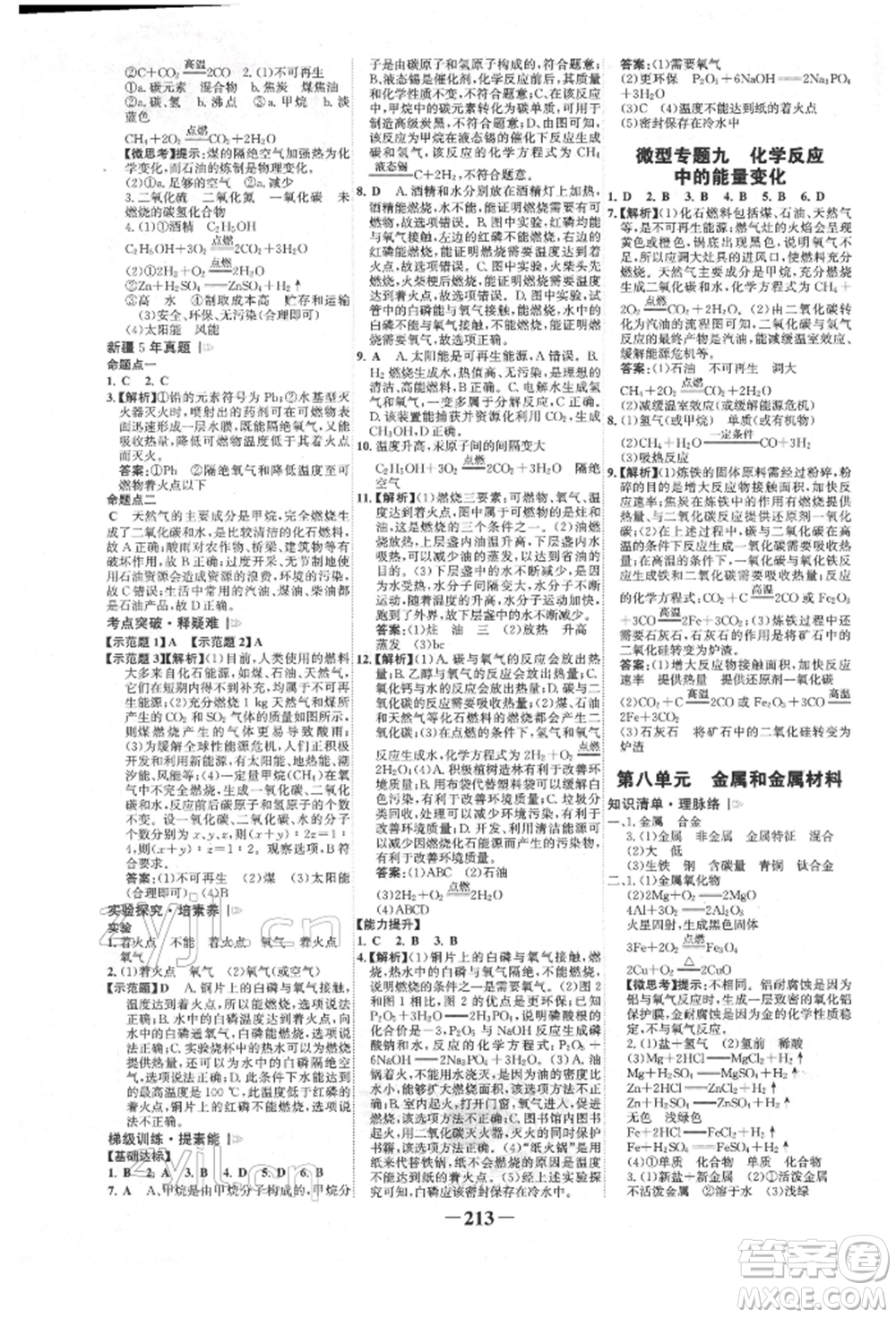 河北少年兒童出版社2022世紀金榜初中全程復習方略化學人教版新疆專版參考答案