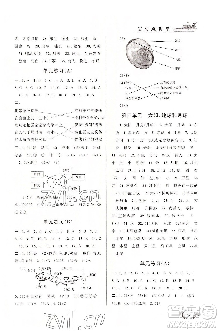 安徽人民出版社2022暑假大串聯(lián)科學(xué)三年級教育科學(xué)教材適用答案