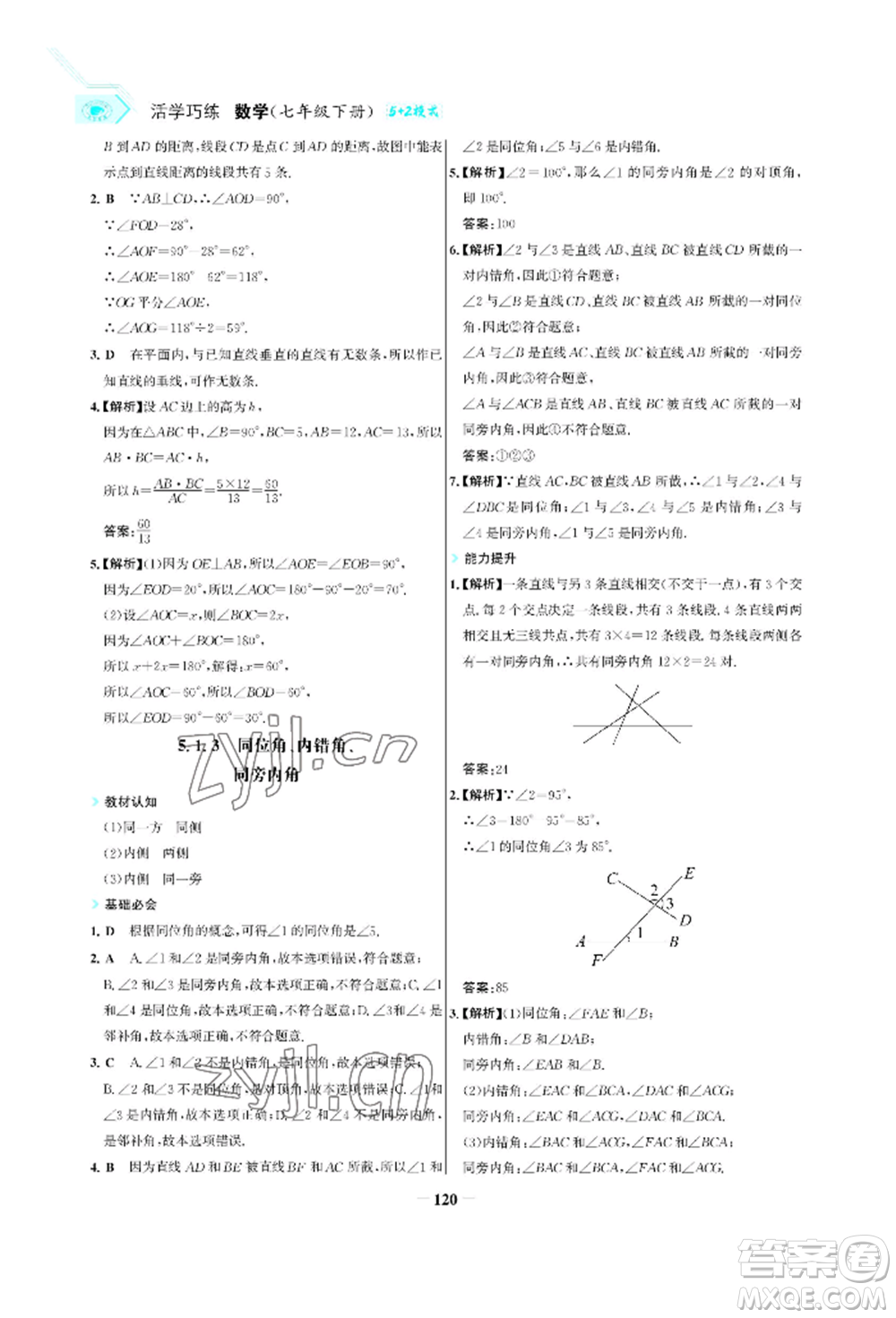 浙江科學(xué)技術(shù)出版社2022世紀(jì)金榜活學(xué)巧練七年級下冊數(shù)學(xué)人教版參考答案