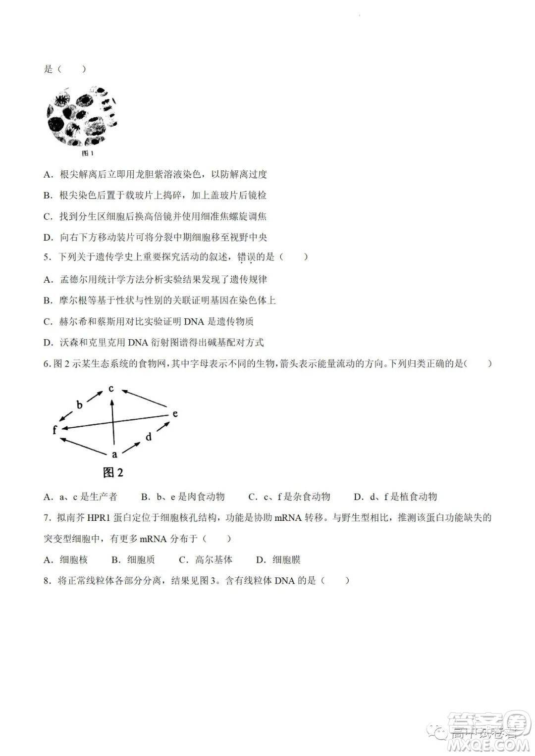 2022高考真題新高考廣東卷生物試題及答案解析