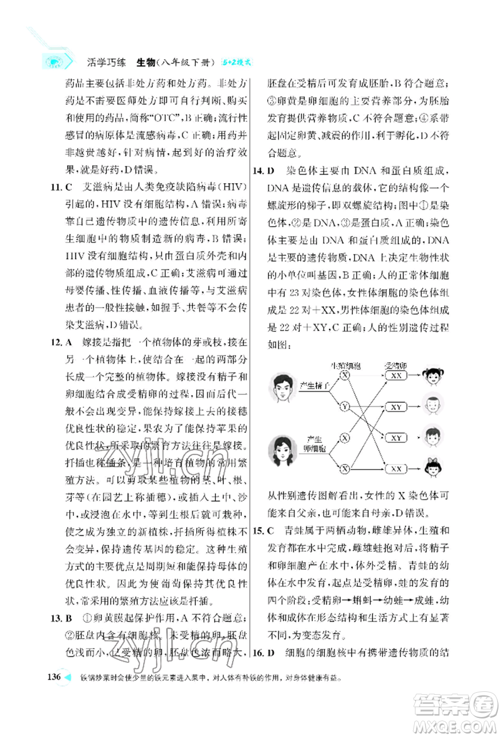 浙江科學(xué)技術(shù)出版社2022世紀(jì)金榜活學(xué)巧練八年級(jí)下冊生物人教版參考答案