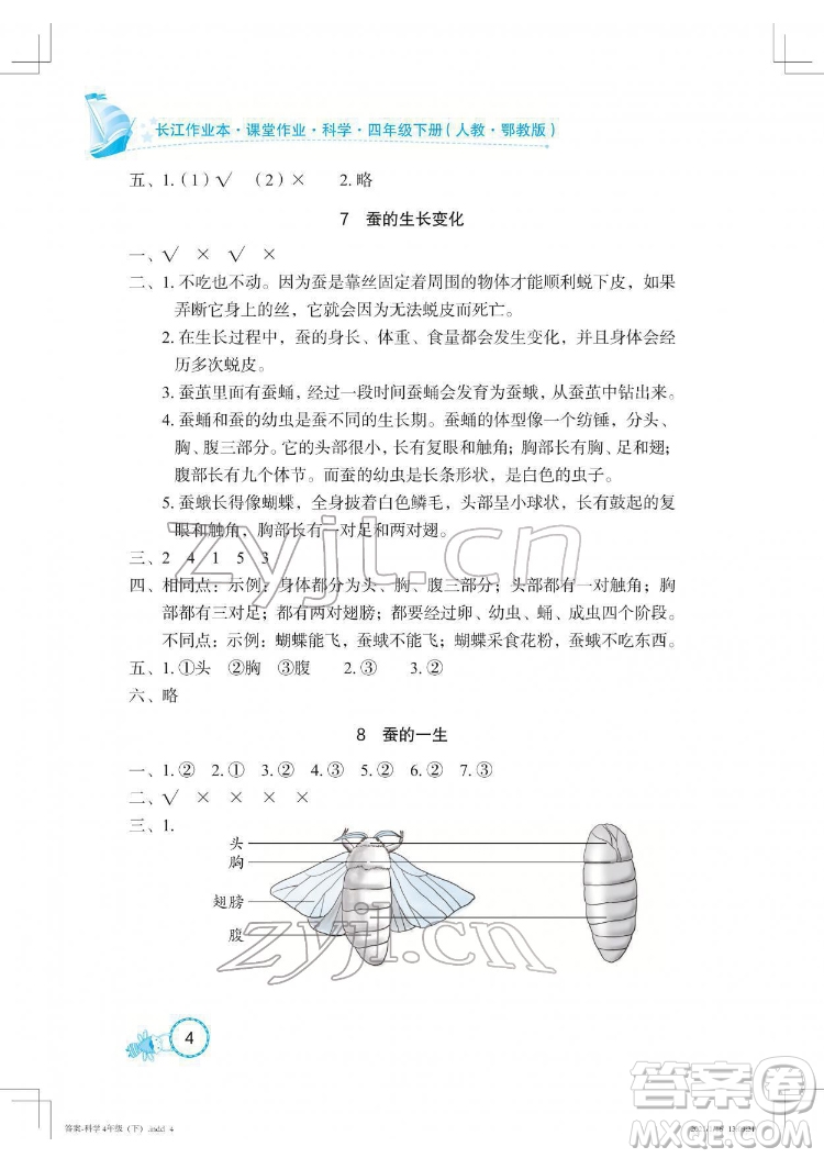 湖北教育出版社2022長江作業(yè)本課堂作業(yè)科學四年級下冊鄂教版答案