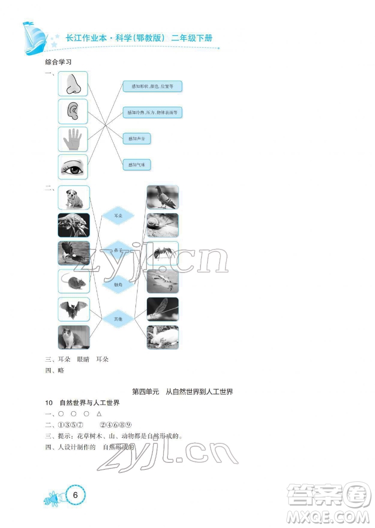 湖北教育出版社2022長(zhǎng)江作業(yè)本課堂作業(yè)科學(xué)二年級(jí)下冊(cè)鄂教版答案