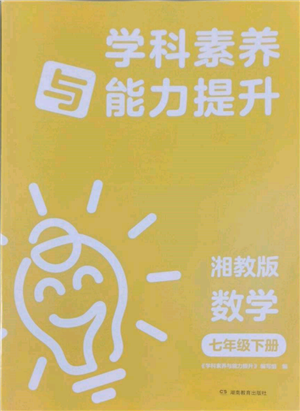 湖南教育出版社2022學科素養(yǎng)與能力提升七年級下冊數(shù)學湘教版參考答案