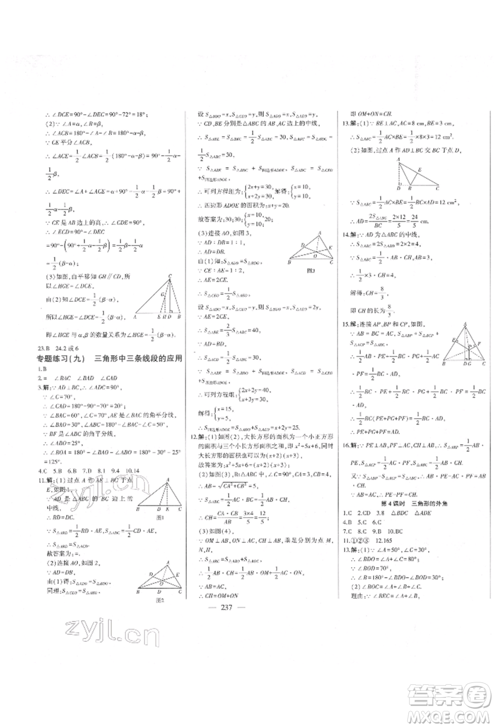 吉林人民出版社2022初中新課標(biāo)名師學(xué)案智慧大課堂七年級(jí)下冊(cè)數(shù)學(xué)青島版參考答案