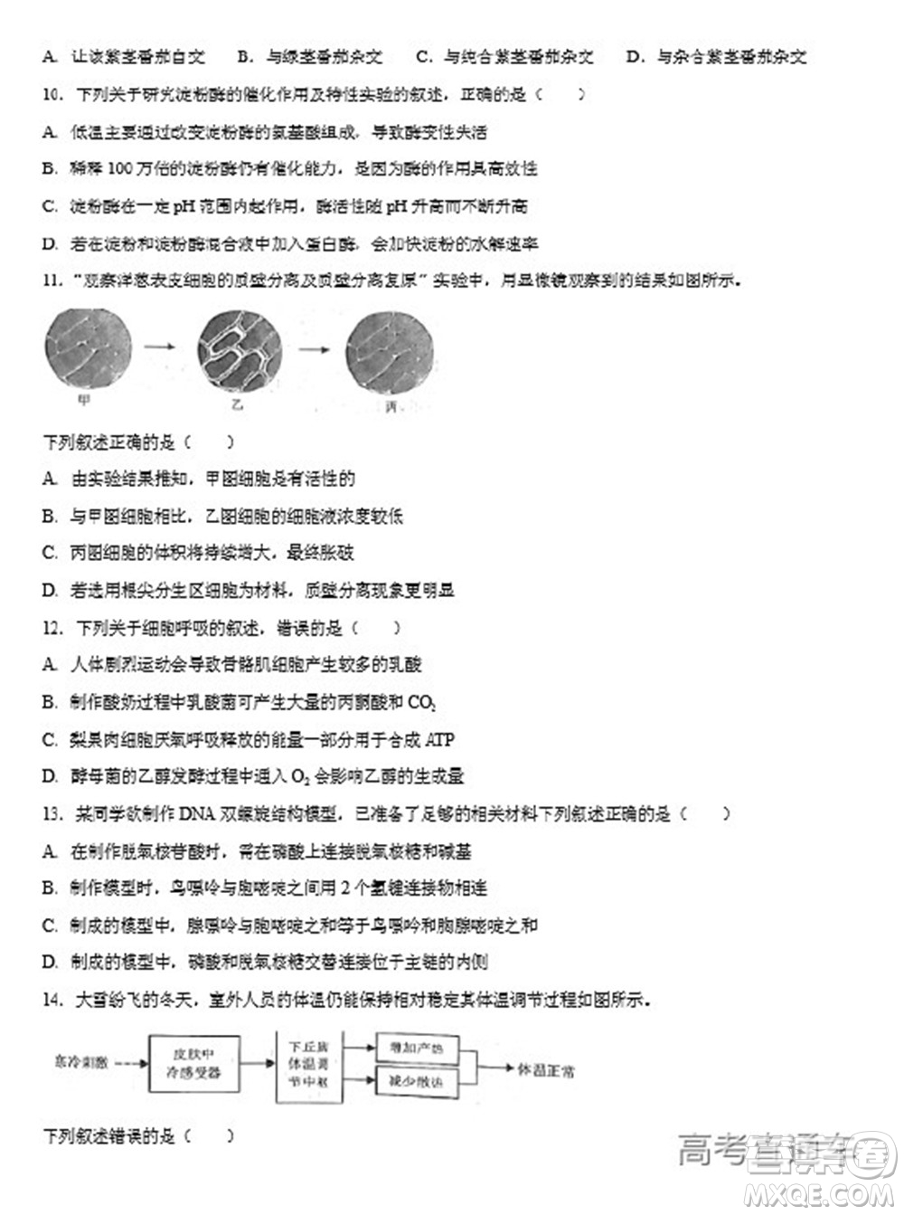 2022年高考真題浙江卷生物試題及答案解析