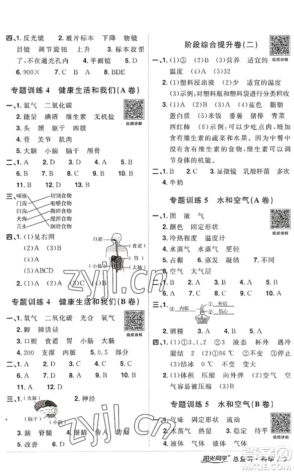 江西教育出版社2022陽(yáng)光同學(xué)小學(xué)畢業(yè)升學(xué)系統(tǒng)總復(fù)習(xí)六年級(jí)科學(xué)下冊(cè)通用版答案