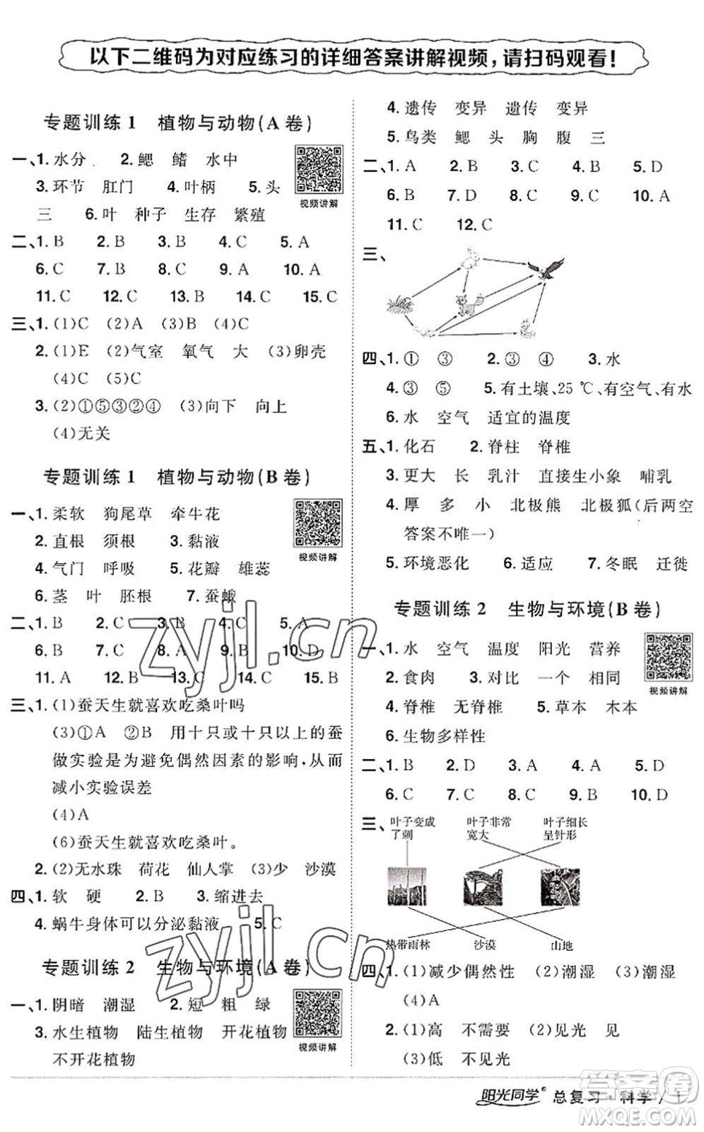 江西教育出版社2022陽(yáng)光同學(xué)小學(xué)畢業(yè)升學(xué)系統(tǒng)總復(fù)習(xí)六年級(jí)科學(xué)下冊(cè)通用版答案