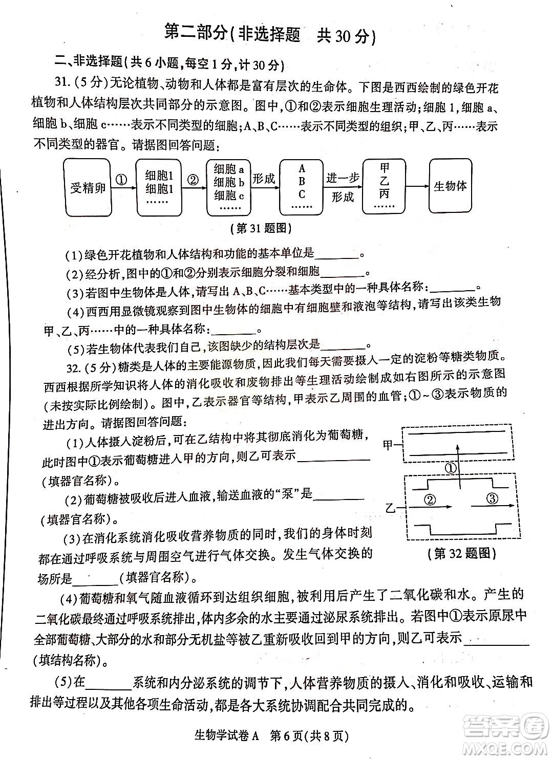 2022年陜西省初中學(xué)業(yè)水平考試生物學(xué)試題及答案