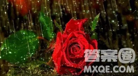 雨的音韻為題作文600字 關(guān)于雨的音韻為題目的作文600字