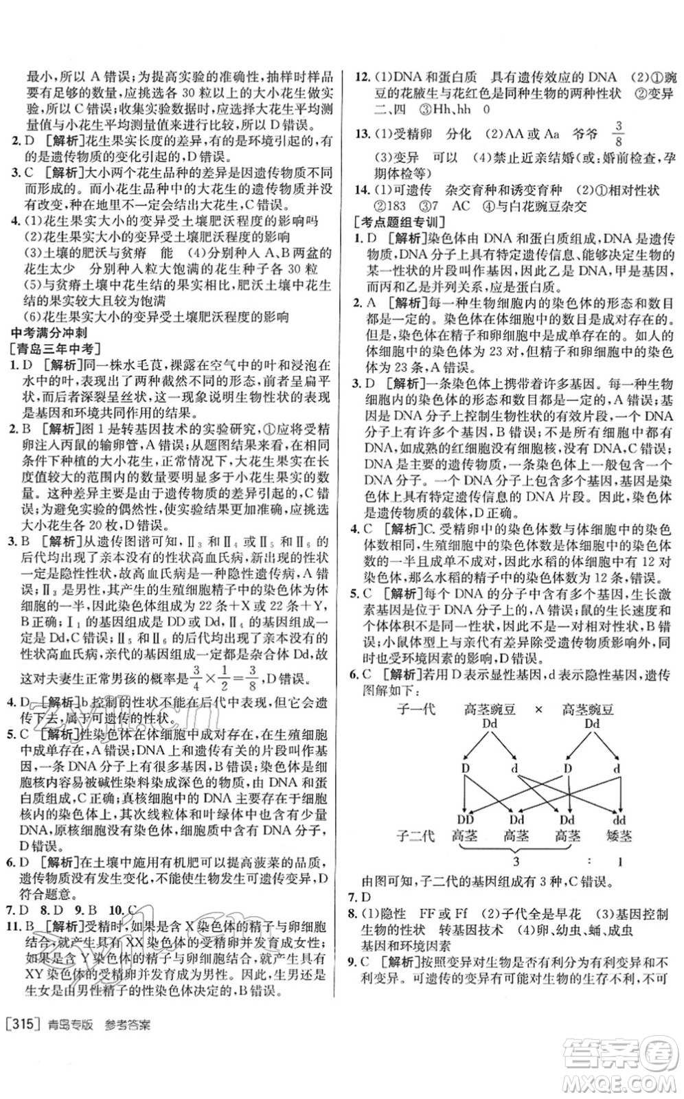 新疆青少年出版社2022升學錦囊九年級生物青島專版答案