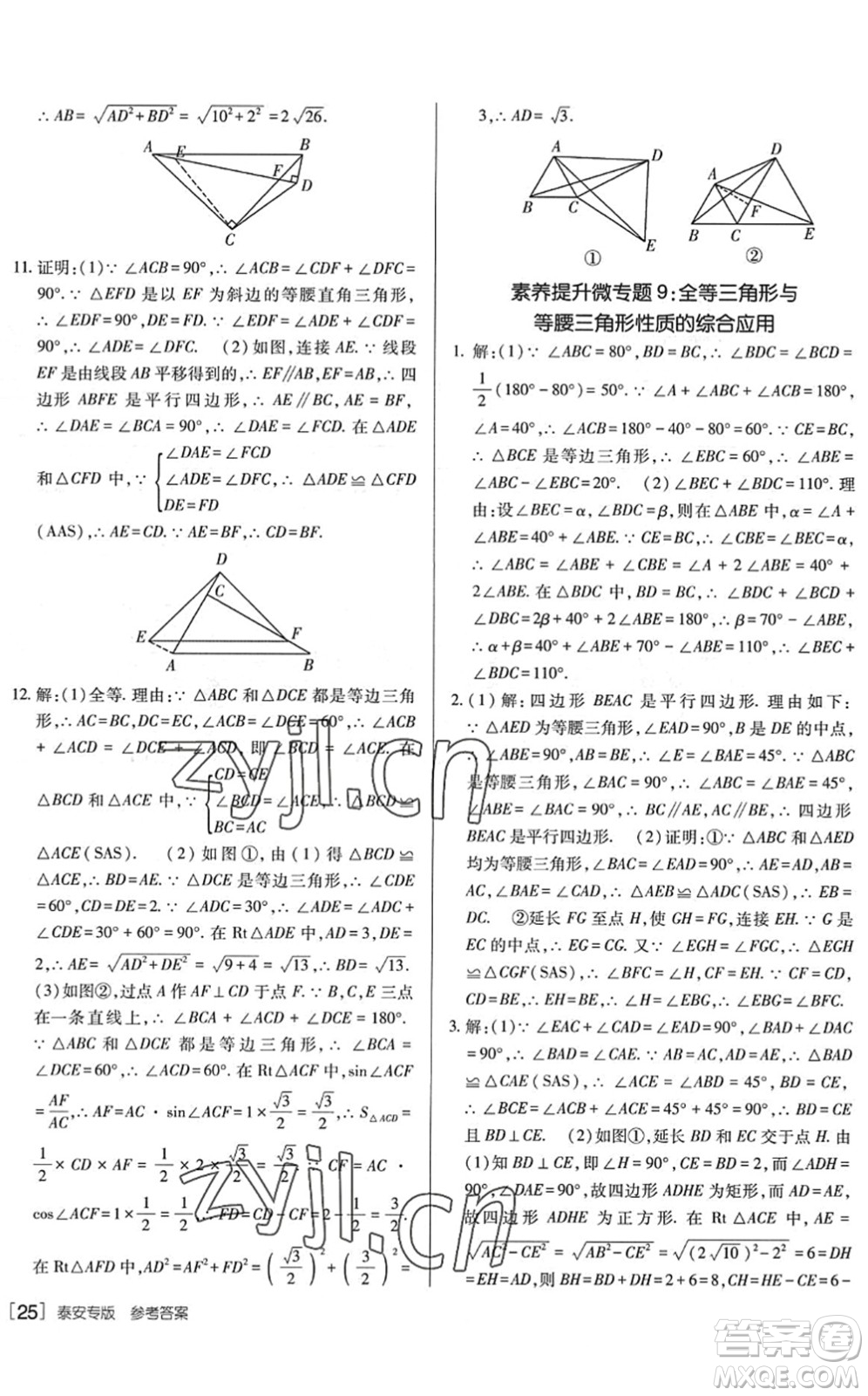 新疆青少年出版社2022升學(xué)錦囊九年級數(shù)學(xué)泰安專版答案