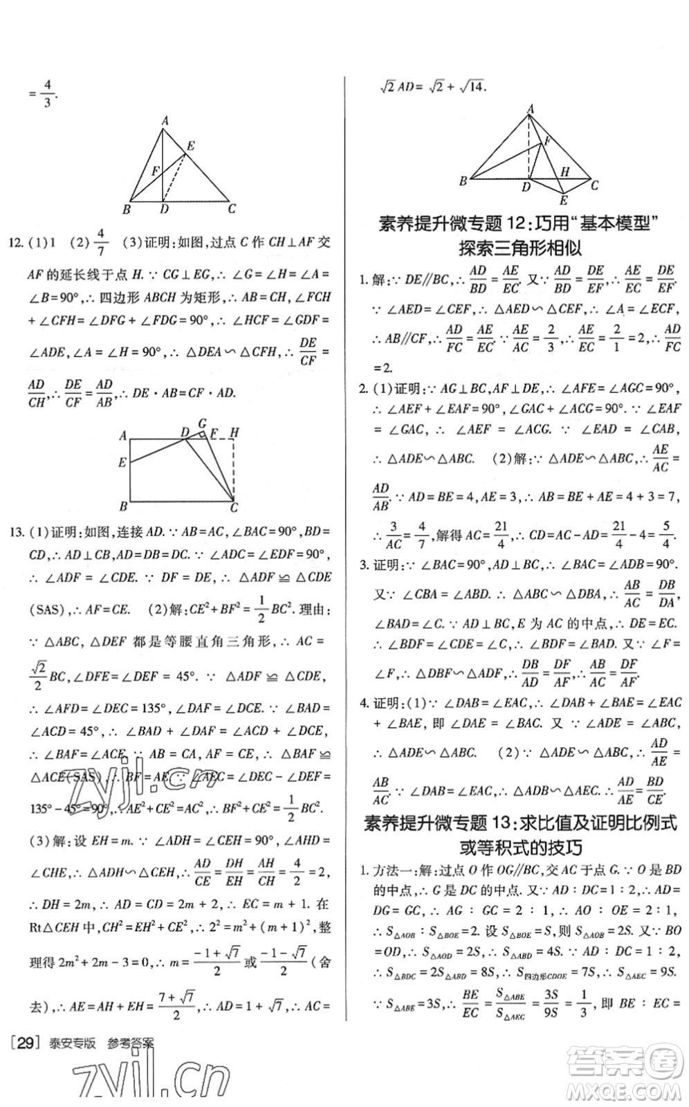 新疆青少年出版社2022升學(xué)錦囊九年級數(shù)學(xué)泰安專版答案