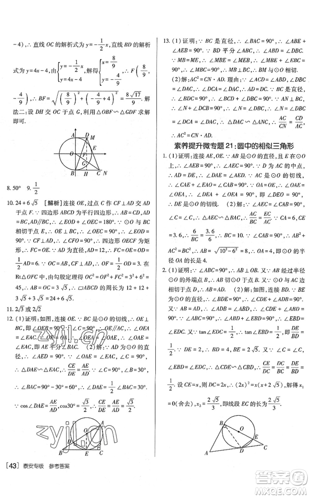 新疆青少年出版社2022升學(xué)錦囊九年級數(shù)學(xué)泰安專版答案