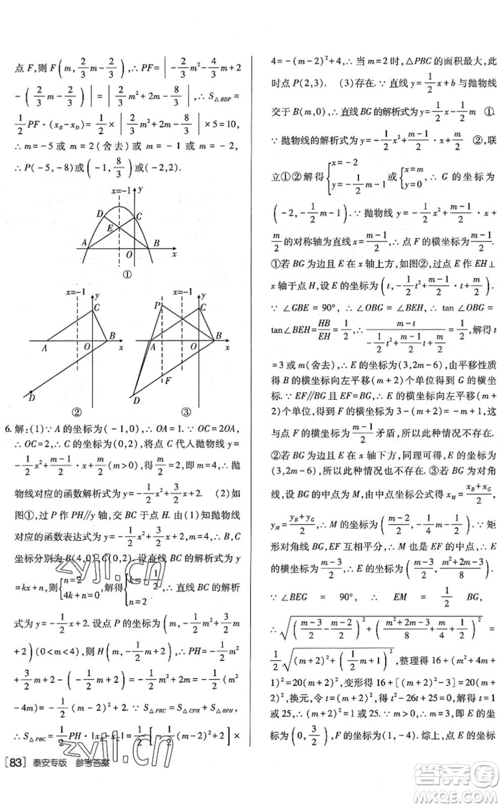 新疆青少年出版社2022升學(xué)錦囊九年級數(shù)學(xué)泰安專版答案