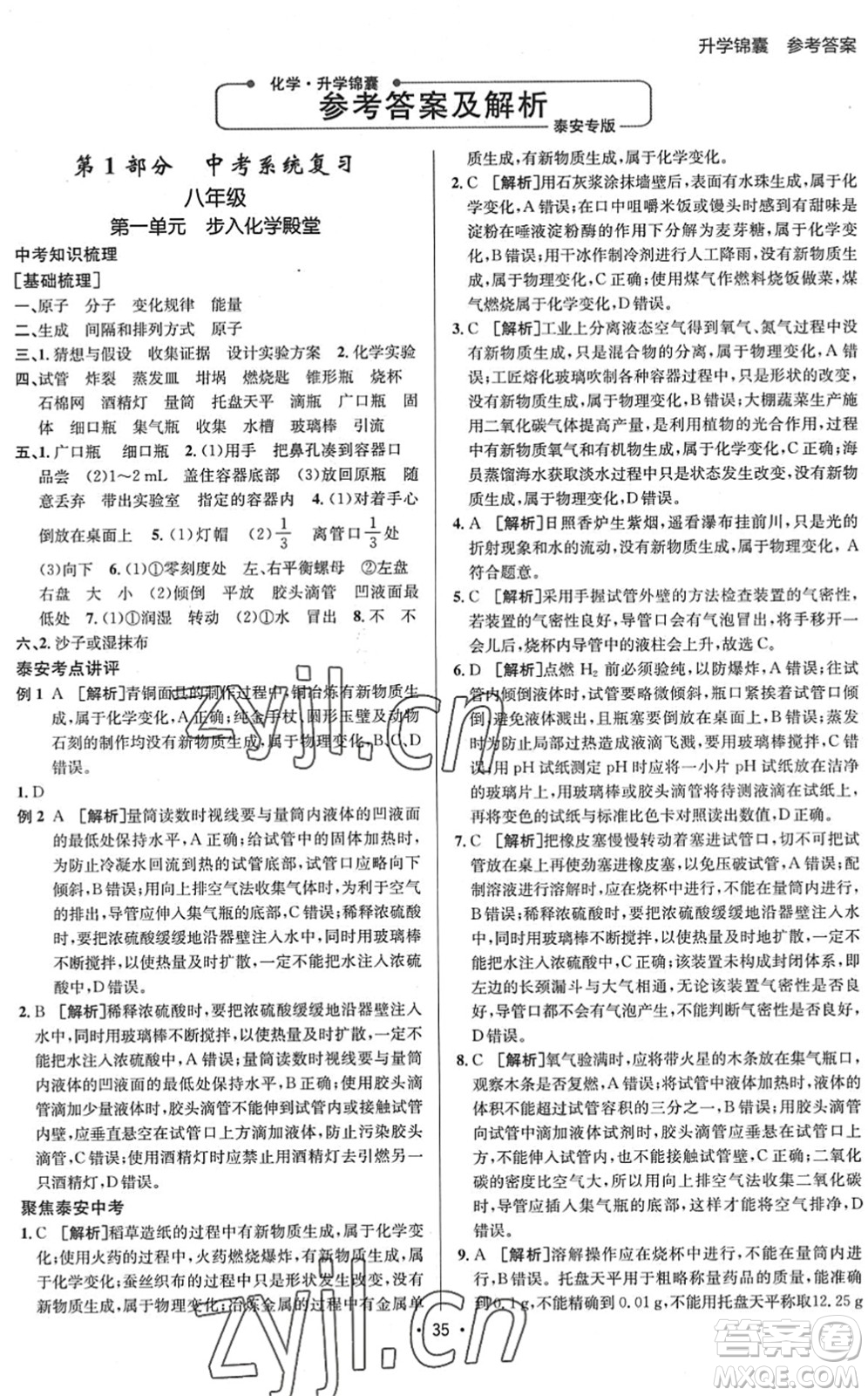 新疆青少年出版社2022升學(xué)錦囊九年級(jí)化學(xué)泰安專版答案