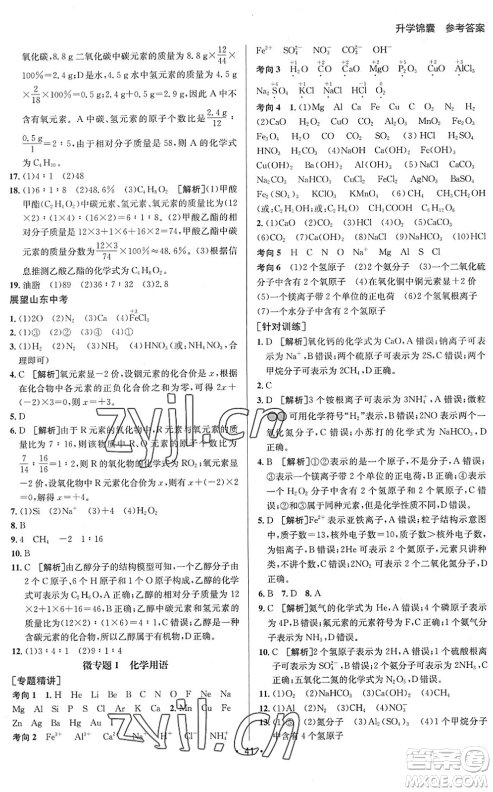 新疆青少年出版社2022升學(xué)錦囊九年級(jí)化學(xué)泰安專版答案