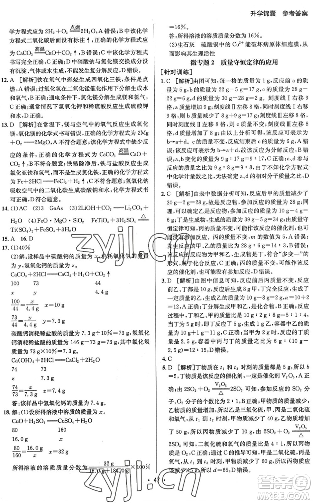 新疆青少年出版社2022升學(xué)錦囊九年級(jí)化學(xué)泰安專版答案