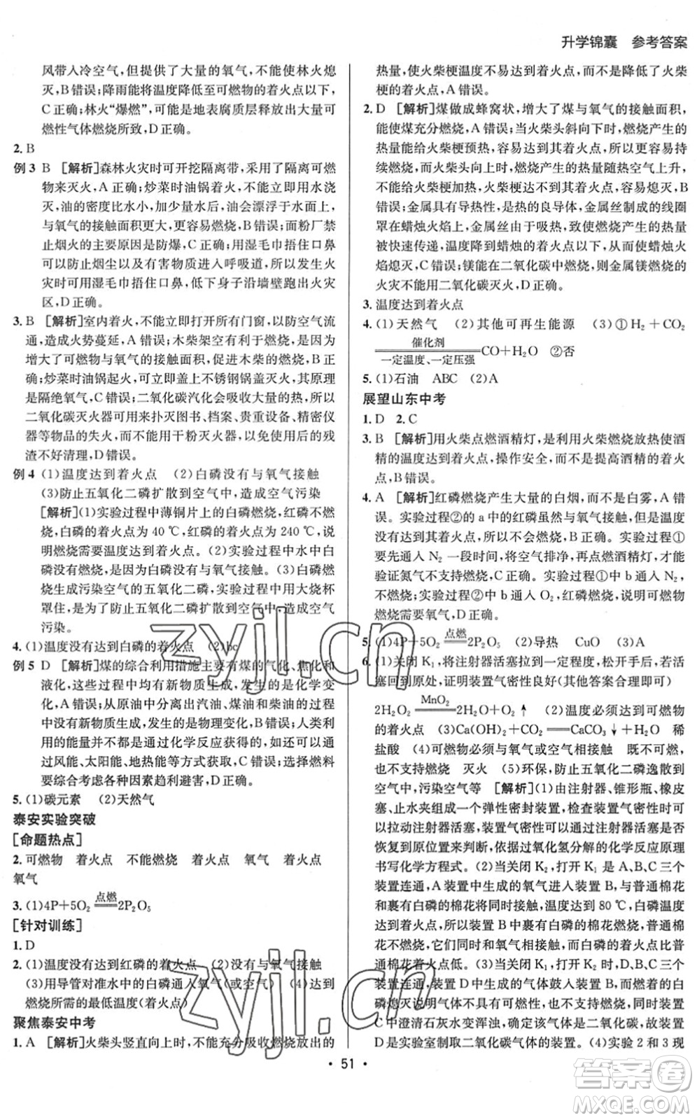 新疆青少年出版社2022升學(xué)錦囊九年級(jí)化學(xué)泰安專版答案