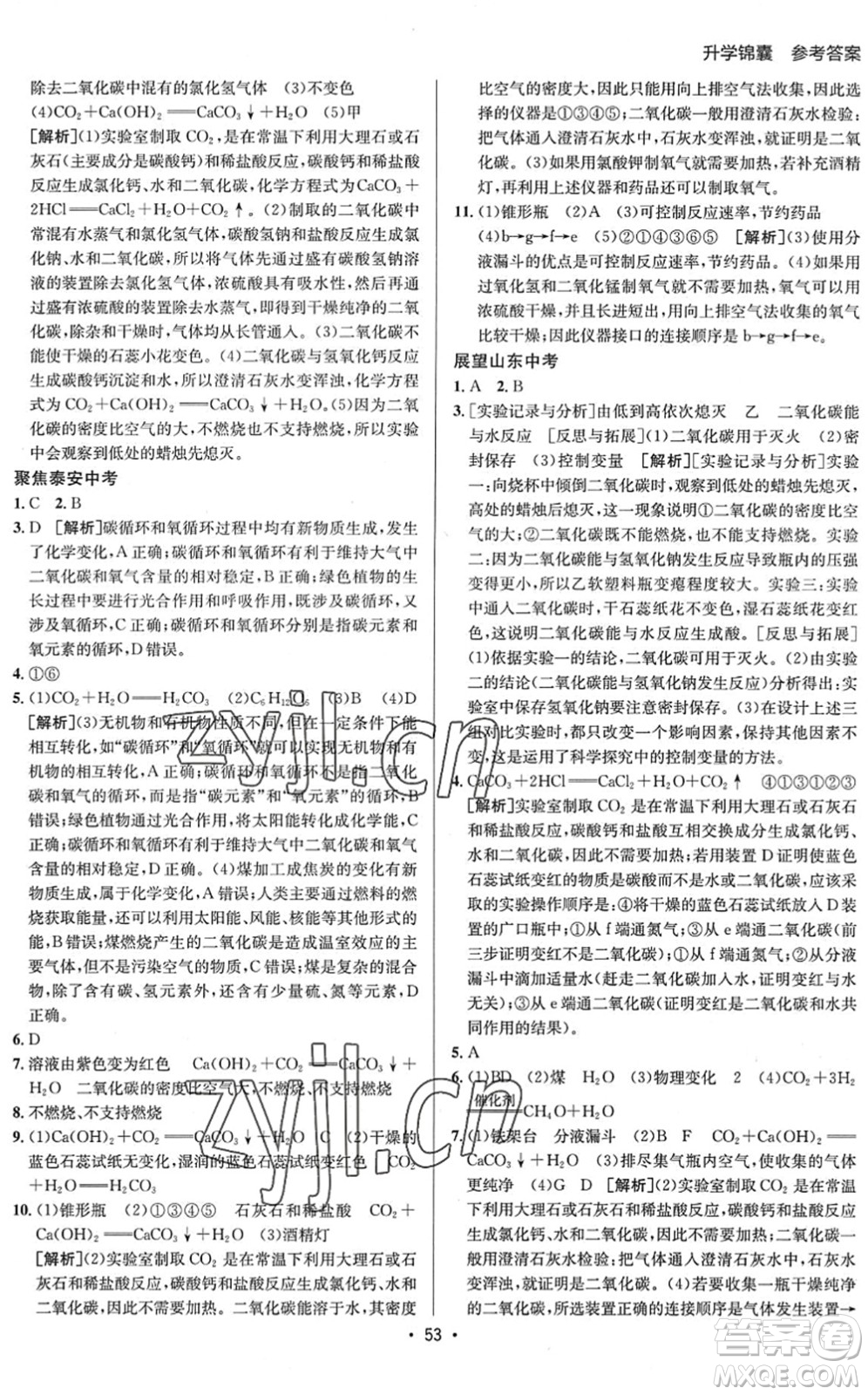 新疆青少年出版社2022升學(xué)錦囊九年級(jí)化學(xué)泰安專版答案