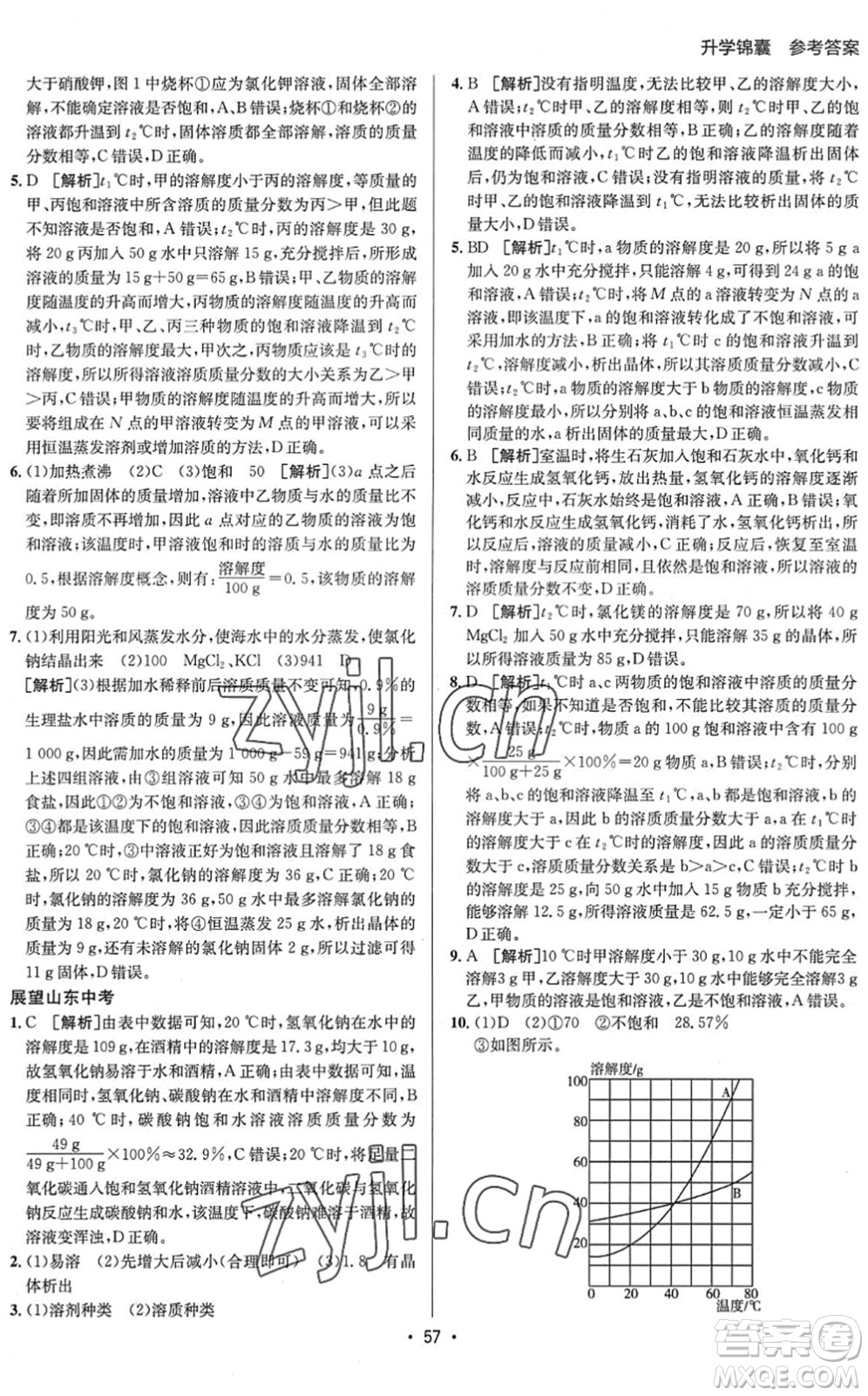 新疆青少年出版社2022升學(xué)錦囊九年級(jí)化學(xué)泰安專版答案