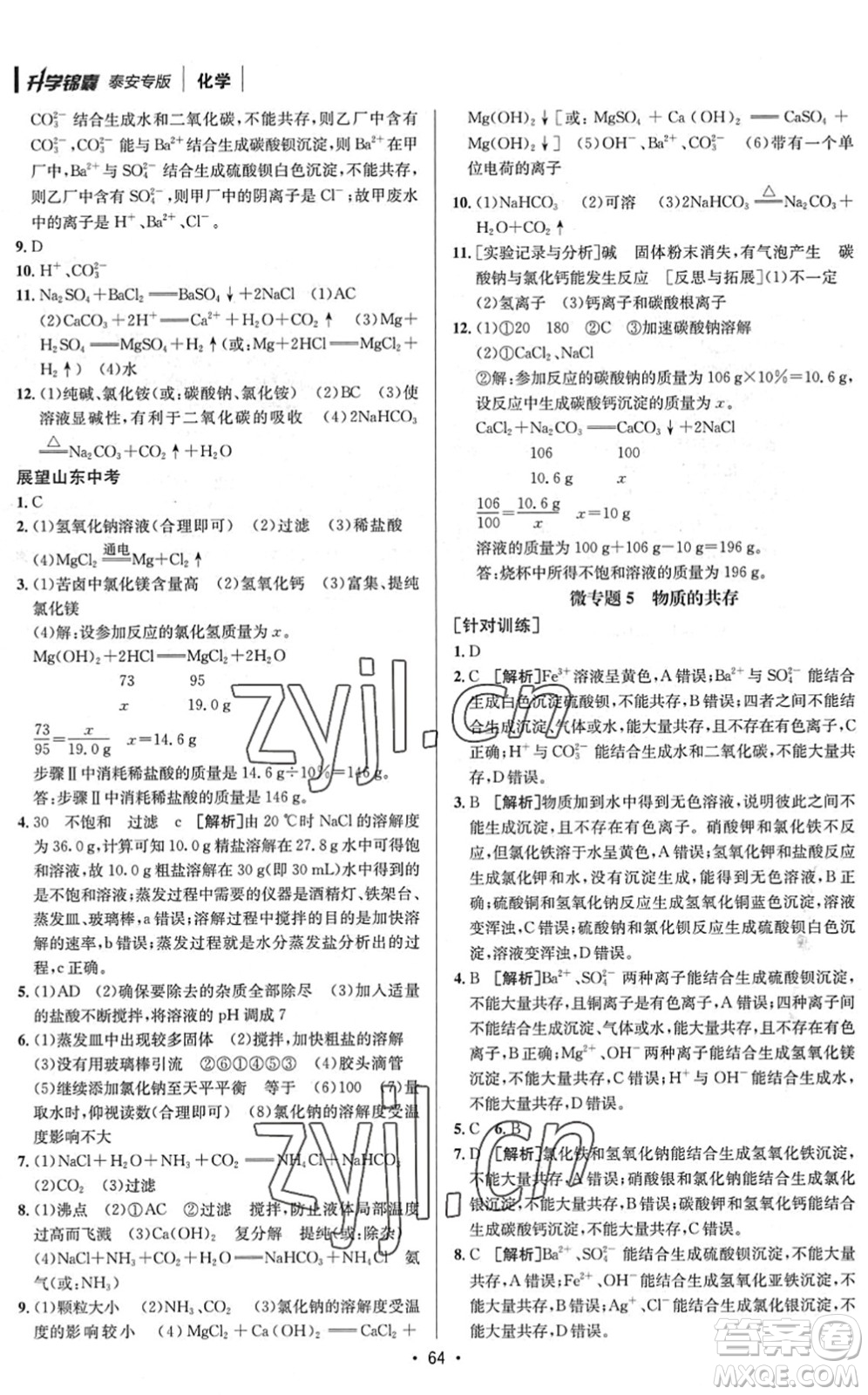 新疆青少年出版社2022升學(xué)錦囊九年級(jí)化學(xué)泰安專版答案