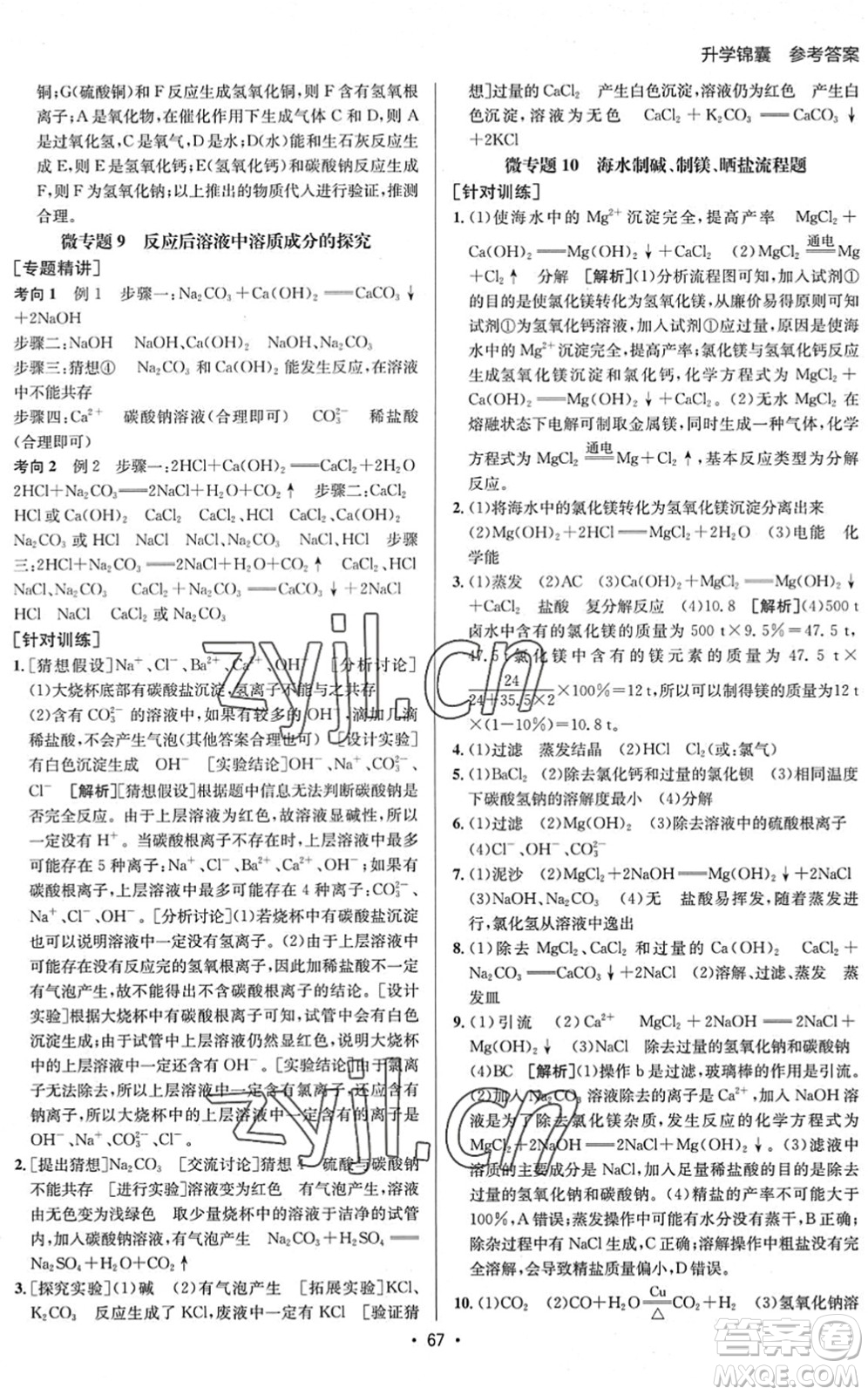 新疆青少年出版社2022升學(xué)錦囊九年級(jí)化學(xué)泰安專版答案