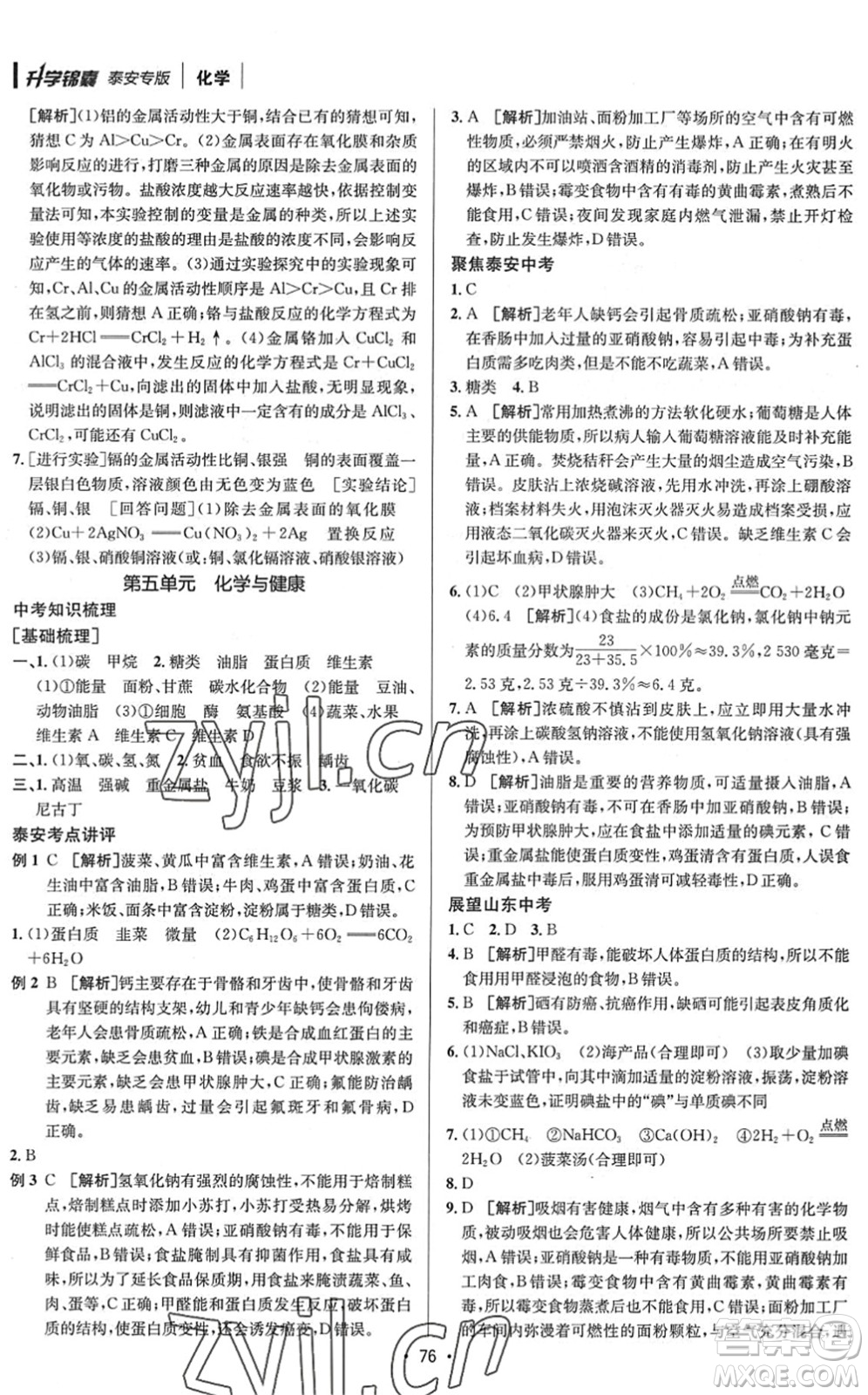 新疆青少年出版社2022升學(xué)錦囊九年級(jí)化學(xué)泰安專版答案