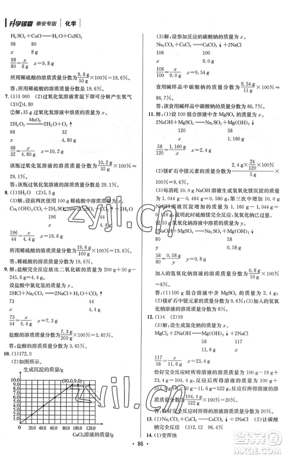 新疆青少年出版社2022升學(xué)錦囊九年級(jí)化學(xué)泰安專版答案