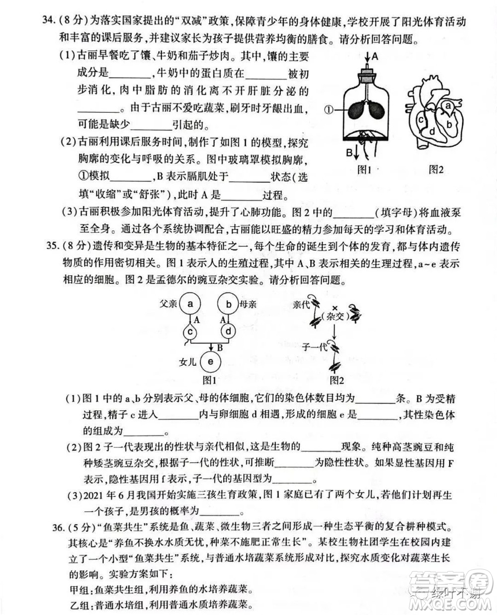 新疆維吾爾自治區(qū)新疆生產(chǎn)建設(shè)兵團(tuán)2022年初中學(xué)業(yè)水平考試生物試題卷及答案