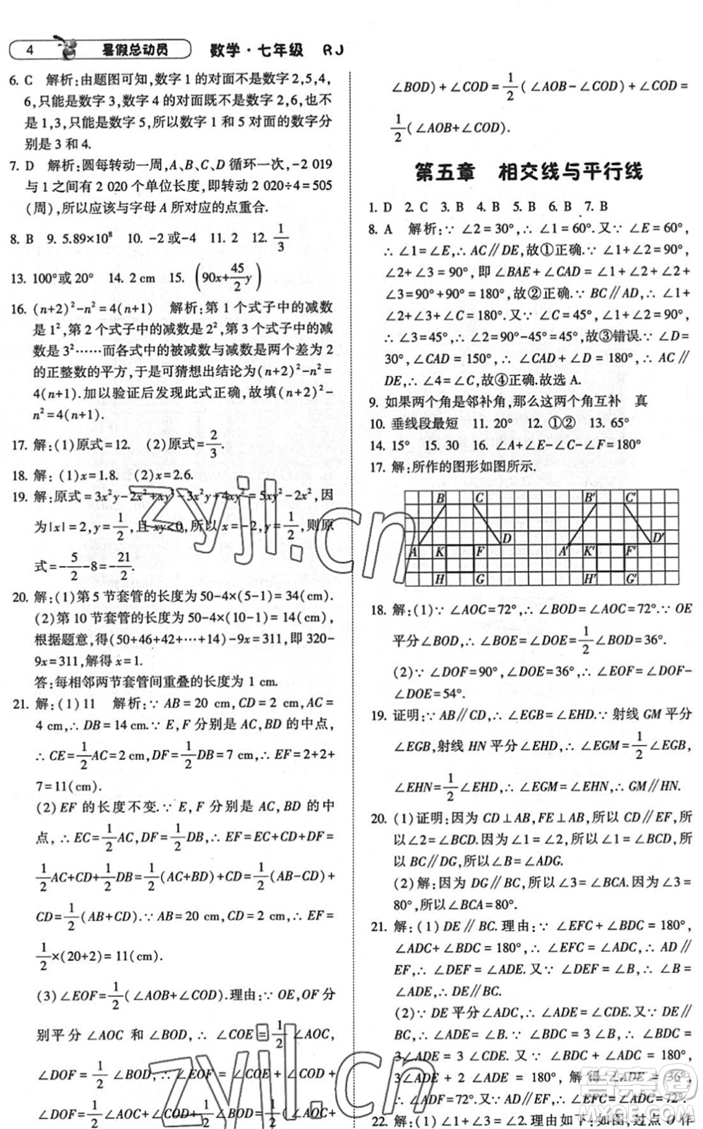 寧夏人民教育出版社2022經(jīng)綸學(xué)典暑假總動(dòng)員七年級(jí)數(shù)學(xué)RJ人教版答案