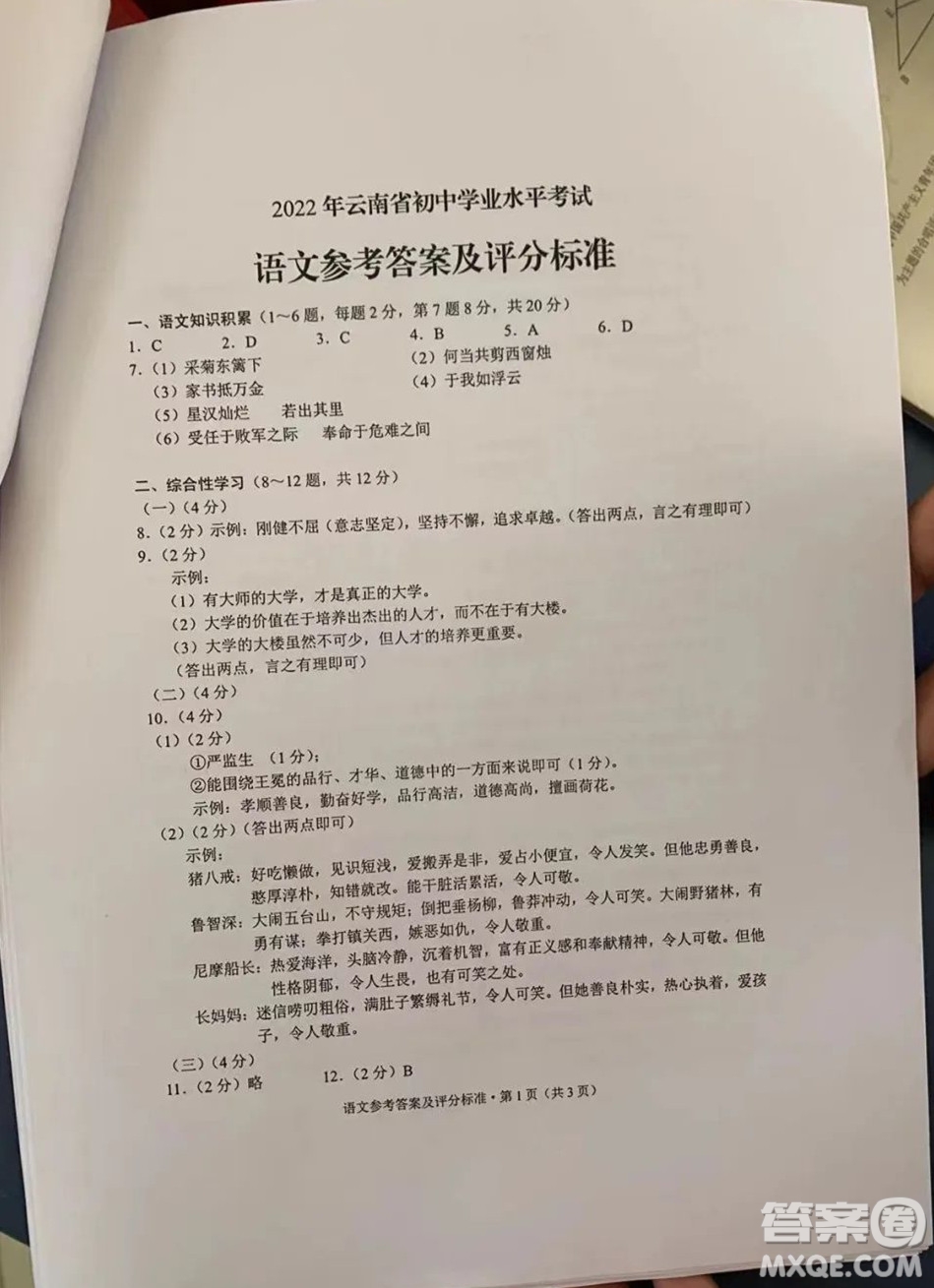 2022年云南省初中學(xué)業(yè)水平考試語(yǔ)文試題卷及答案