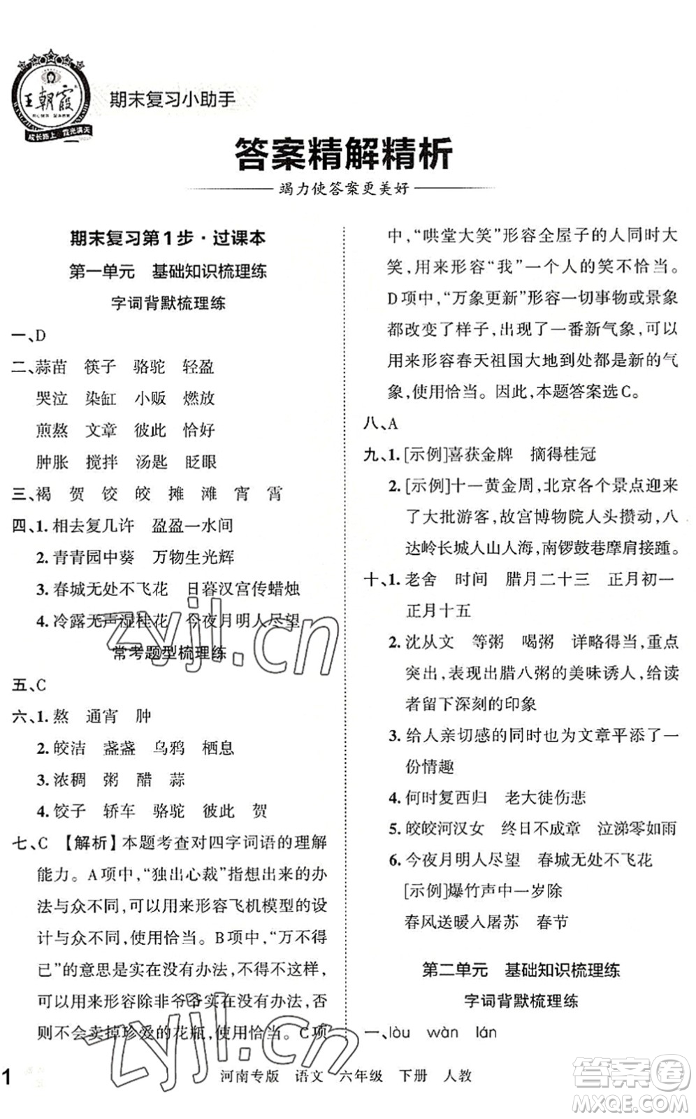 江西人民出版社2022王朝霞各地期末試卷精選六年級語文下冊人教版河南專版答案