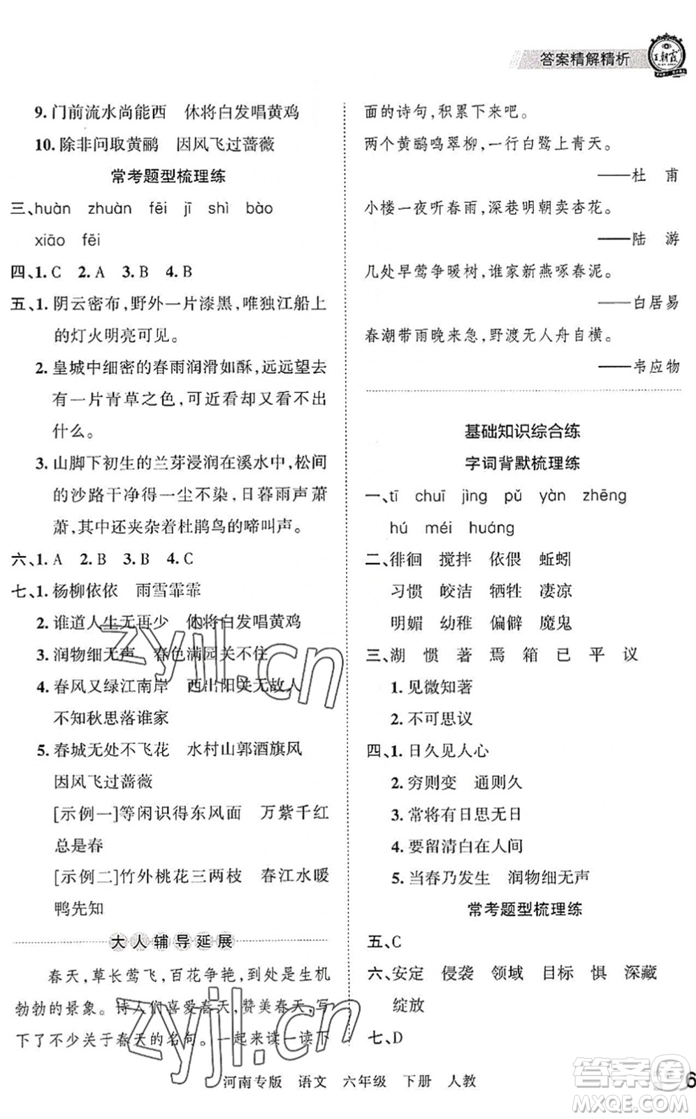 江西人民出版社2022王朝霞各地期末試卷精選六年級語文下冊人教版河南專版答案