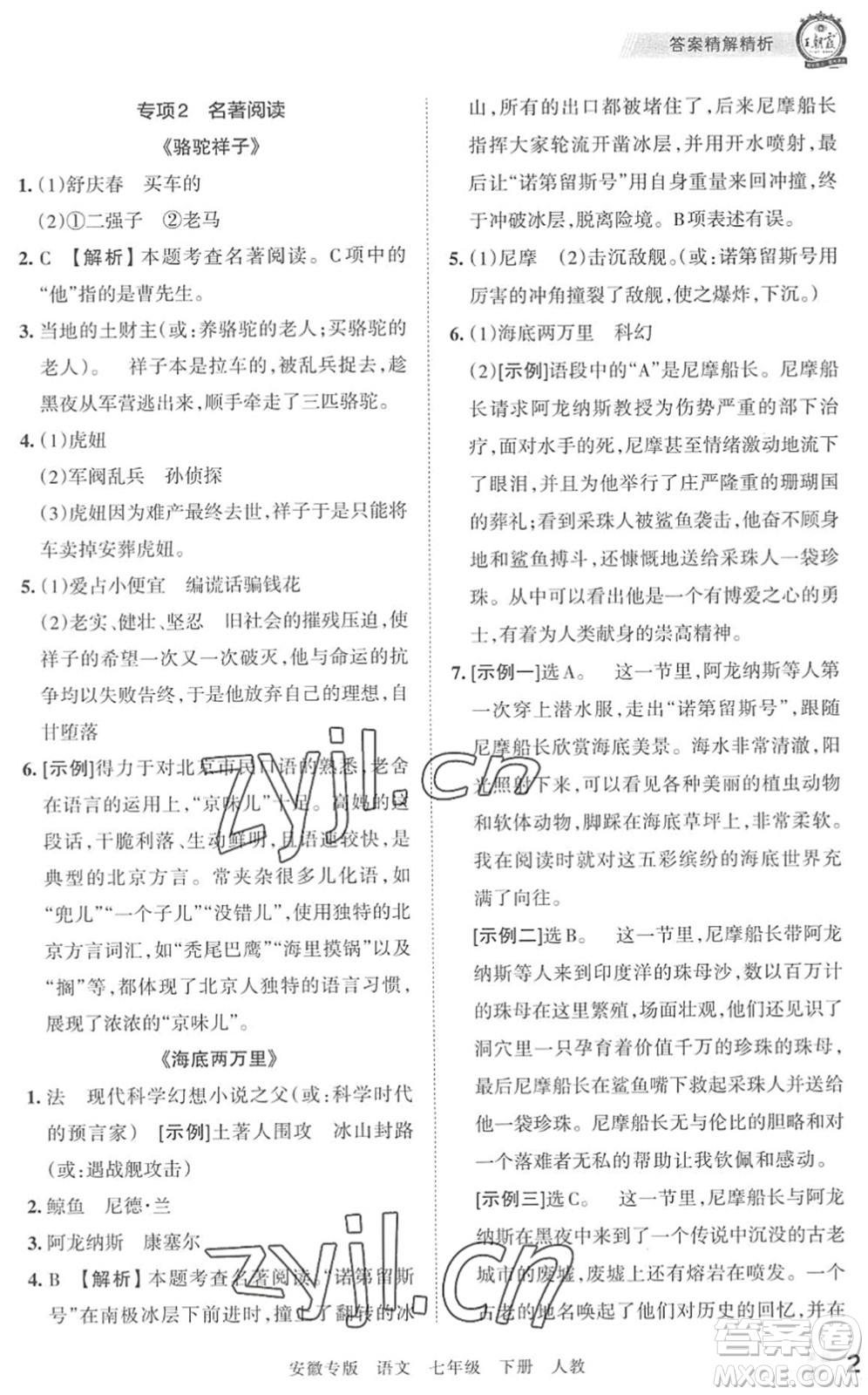 江西人民出版社2022王朝霞各地期末試卷精選七年級(jí)語(yǔ)文下冊(cè)人教版安徽專版答案