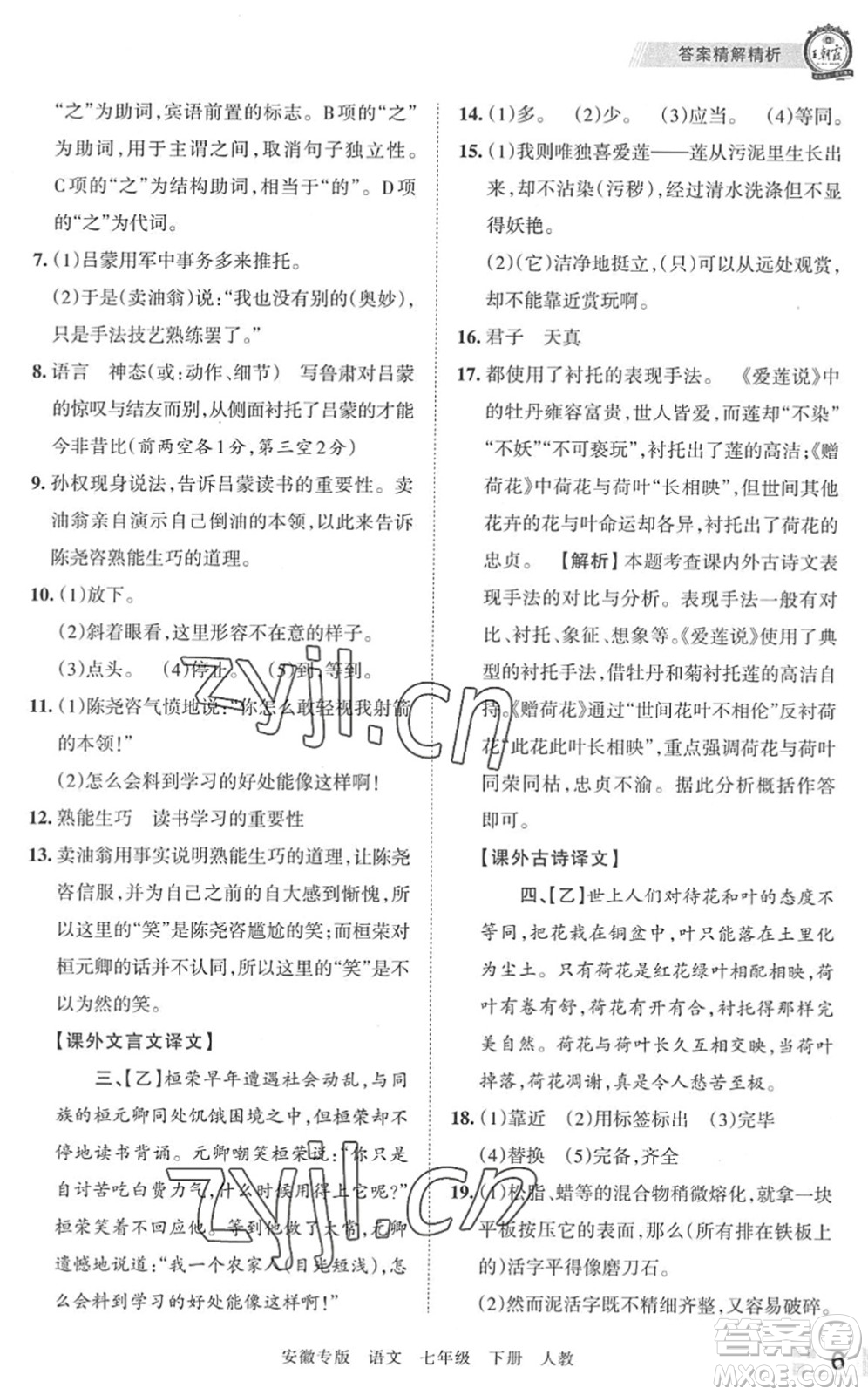 江西人民出版社2022王朝霞各地期末試卷精選七年級(jí)語(yǔ)文下冊(cè)人教版安徽專版答案