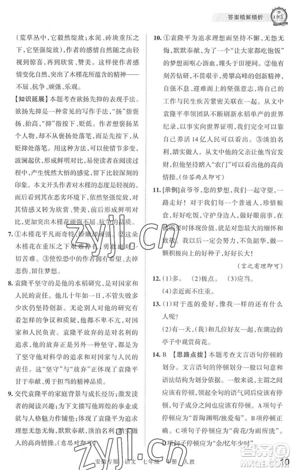 江西人民出版社2022王朝霞各地期末試卷精選七年級(jí)語(yǔ)文下冊(cè)人教版安徽專版答案