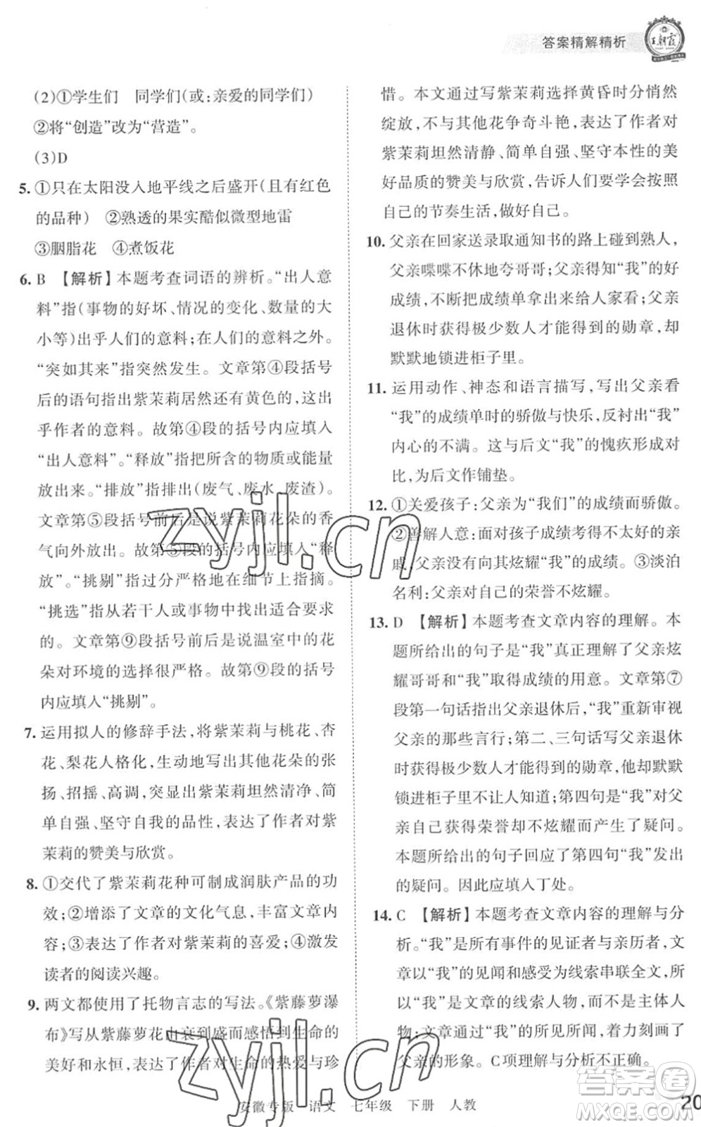 江西人民出版社2022王朝霞各地期末試卷精選七年級(jí)語(yǔ)文下冊(cè)人教版安徽專版答案