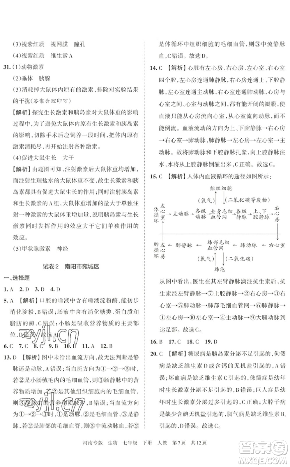 江西人民出版社2022王朝霞各地期末試卷精選七年級(jí)生物下冊(cè)人教版河南專版答案