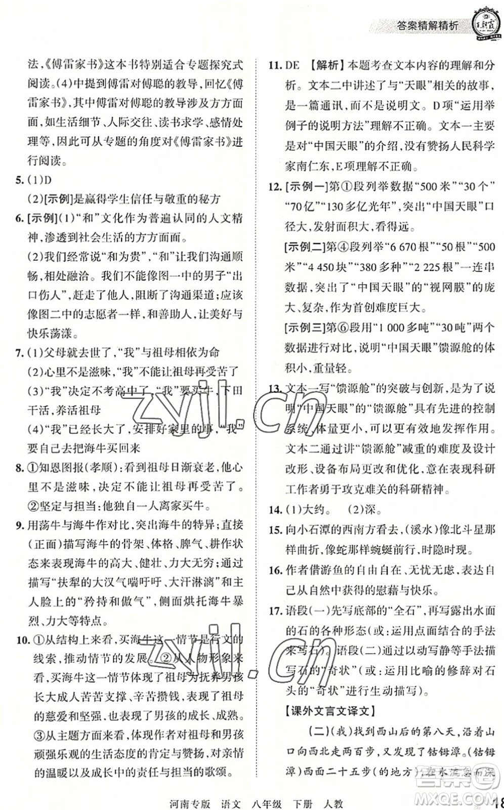 江西人民出版社2022王朝霞各地期末試卷精選八年級(jí)語(yǔ)文下冊(cè)人教版河南專(zhuān)版答案