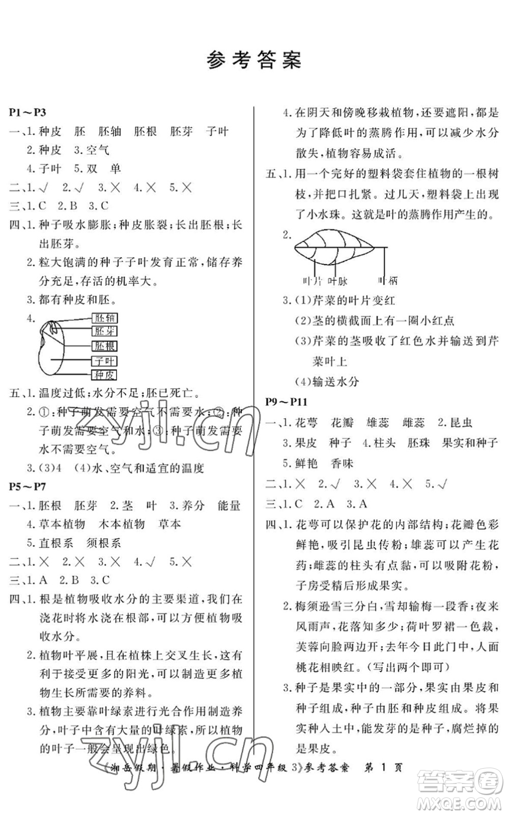 湖南大學(xué)出版社2022湘岳假期暑假作業(yè)四年級科學(xué)教科版答案