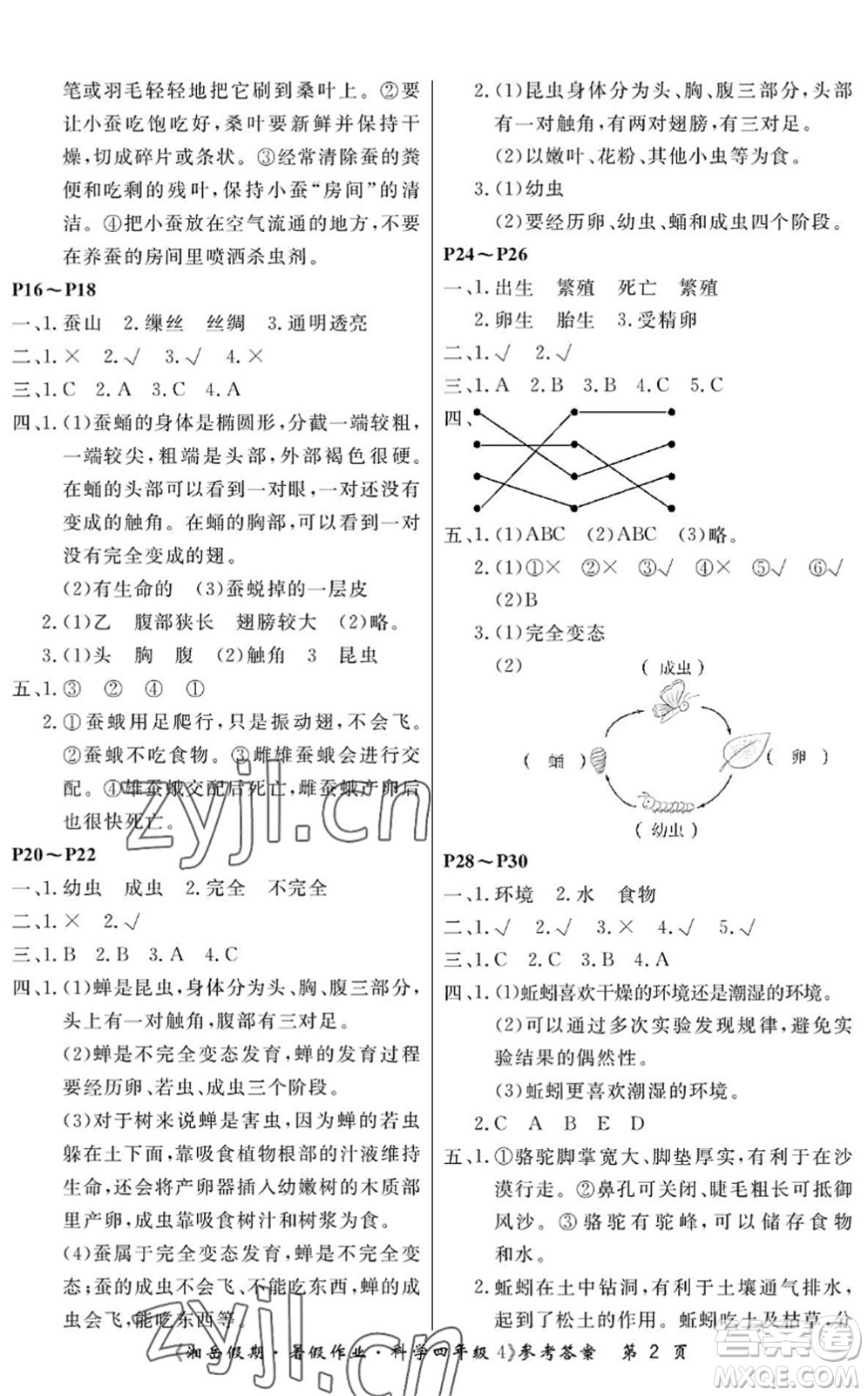 湖南大學出版社2022湘岳假期暑假作業(yè)四年級科學湘科版答案