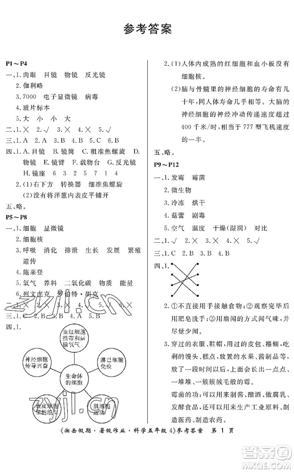 湖南大學(xué)出版社2022湘岳假期暑假作業(yè)五年級(jí)科學(xué)湘科版答案