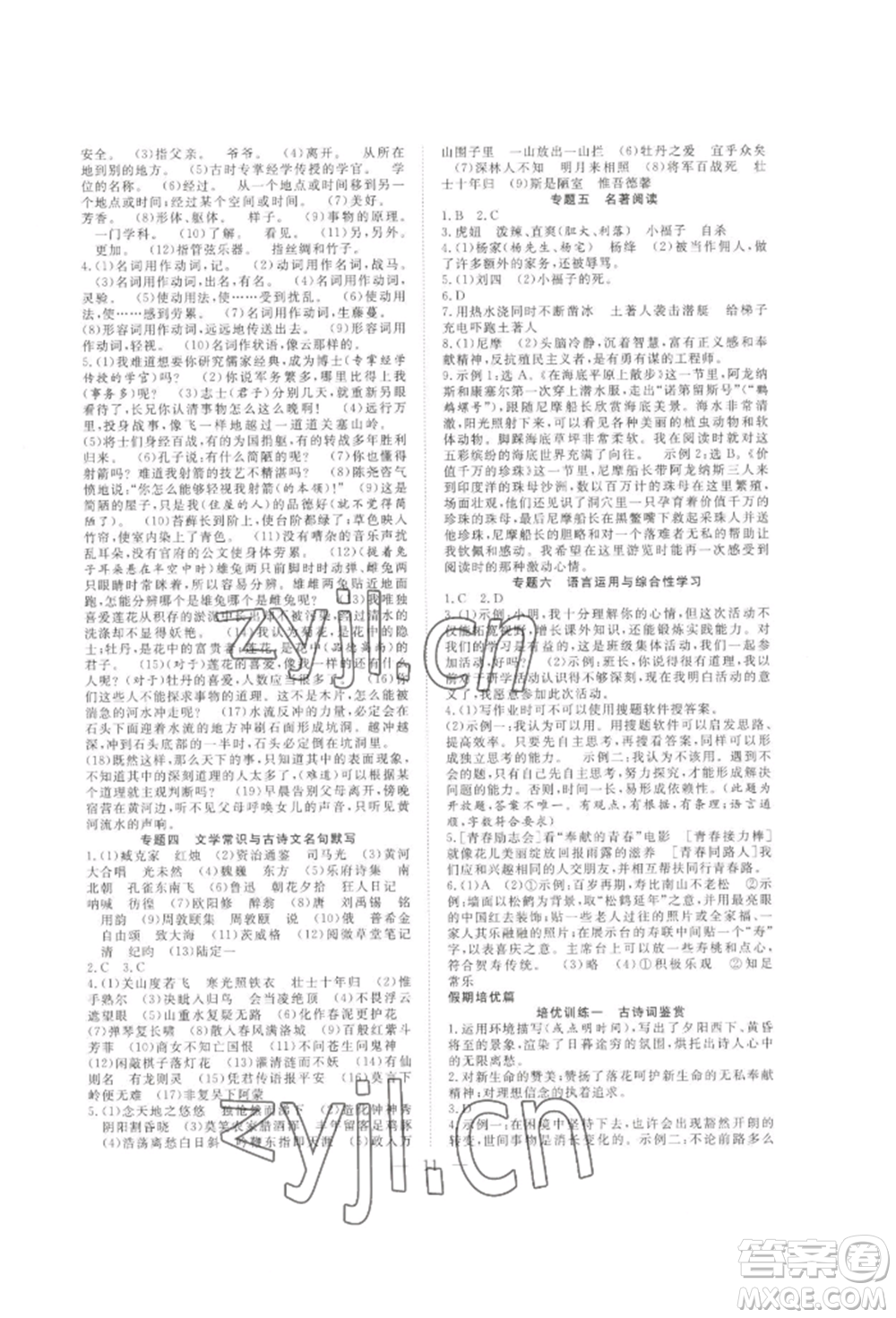 合肥工業(yè)大學(xué)出版社2022假期伴你行暑假復(fù)習(xí)計(jì)劃七年級語文通用版參考答案