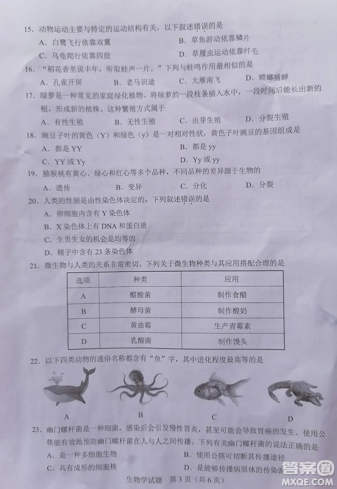 2022年廣東省初中學(xué)業(yè)水平考試生物學(xué)試題及答案