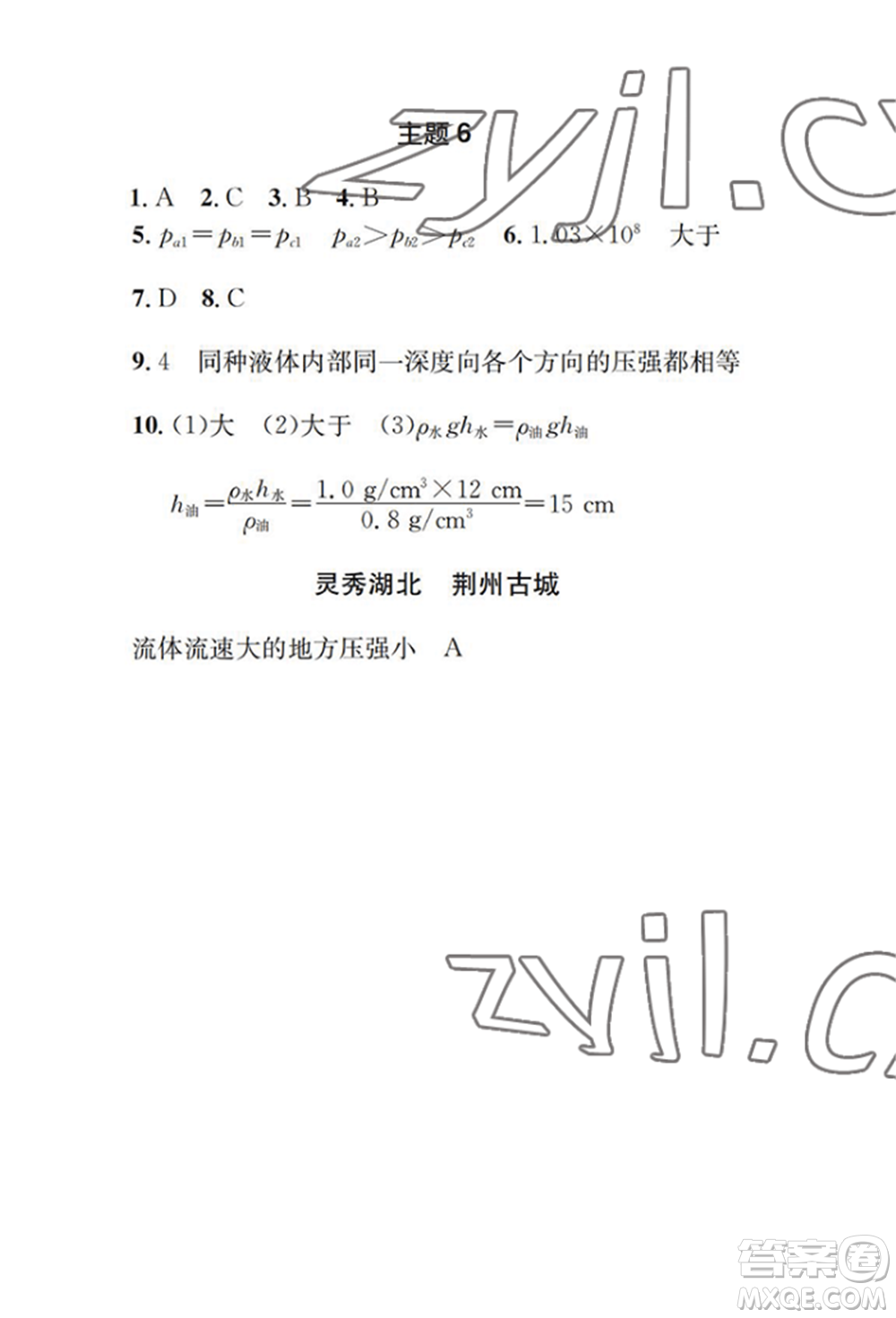 崇文書(shū)局2022長(zhǎng)江暑假作業(yè)八年級(jí)物理人教版參考答案