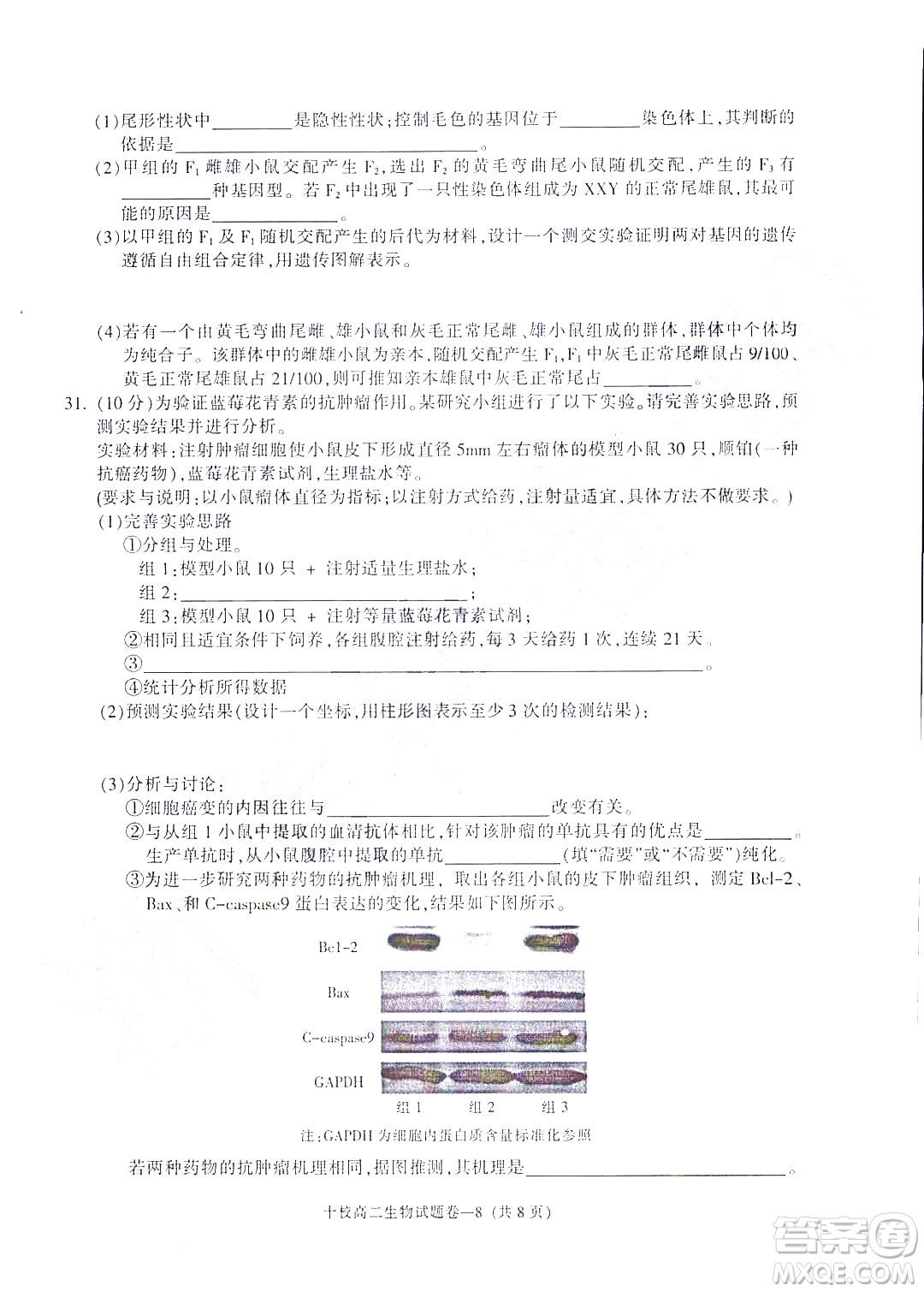 金華十校2021-2022學(xué)年第二學(xué)期期末調(diào)研考試高二生物試題卷及答案