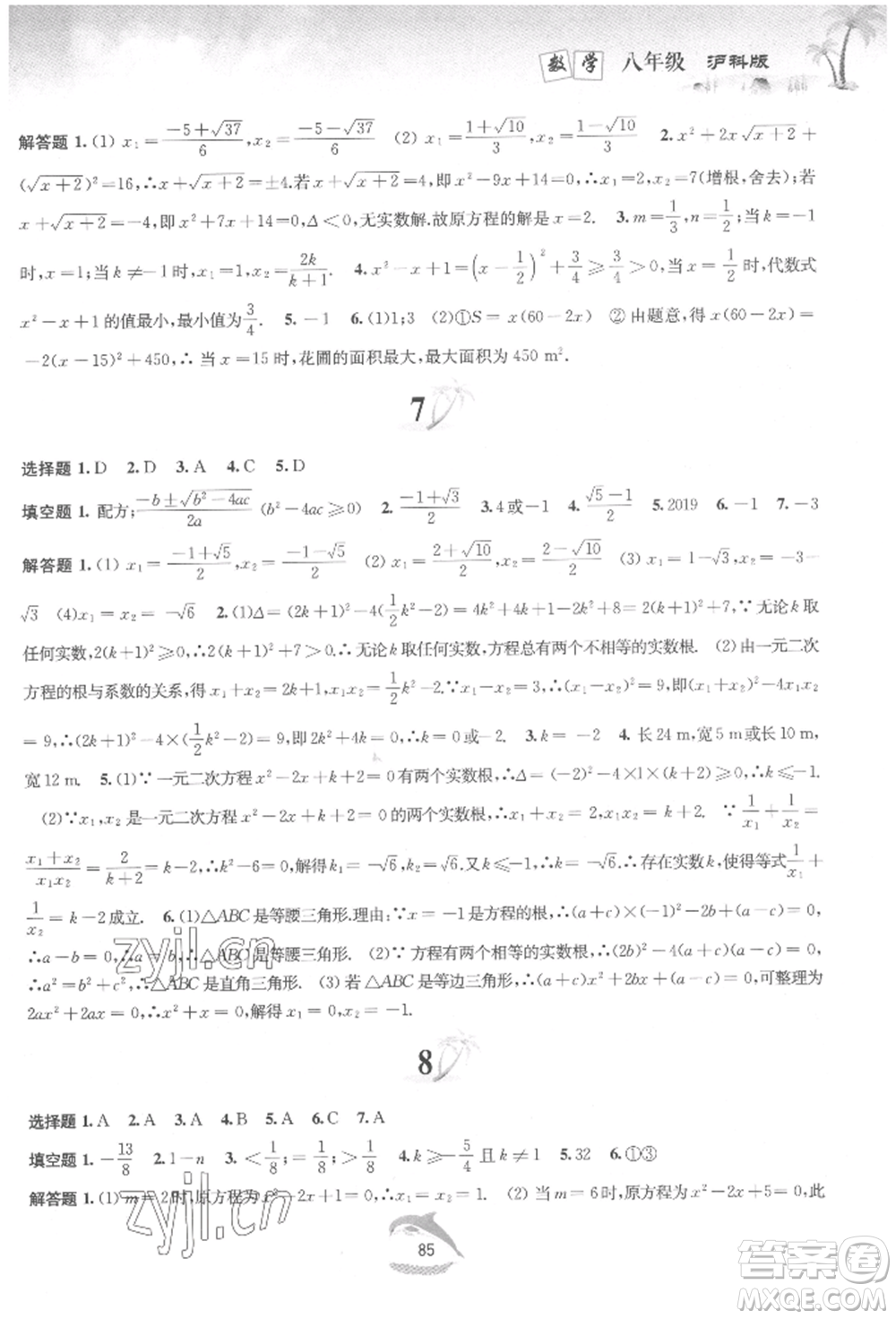 黃山書社2022快樂暑假八年級數(shù)學滬科版參考答案