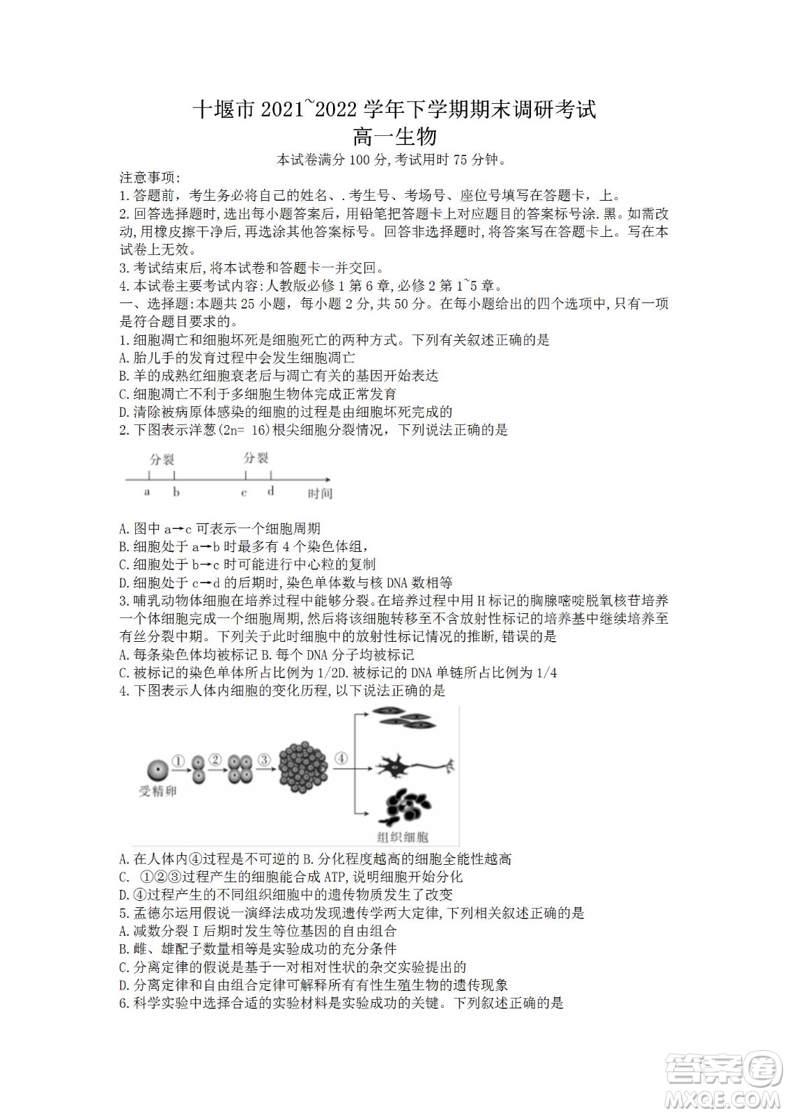 湖北省十堰市2021-2022學(xué)年下學(xué)期期末調(diào)研考試高一生物試題及答案